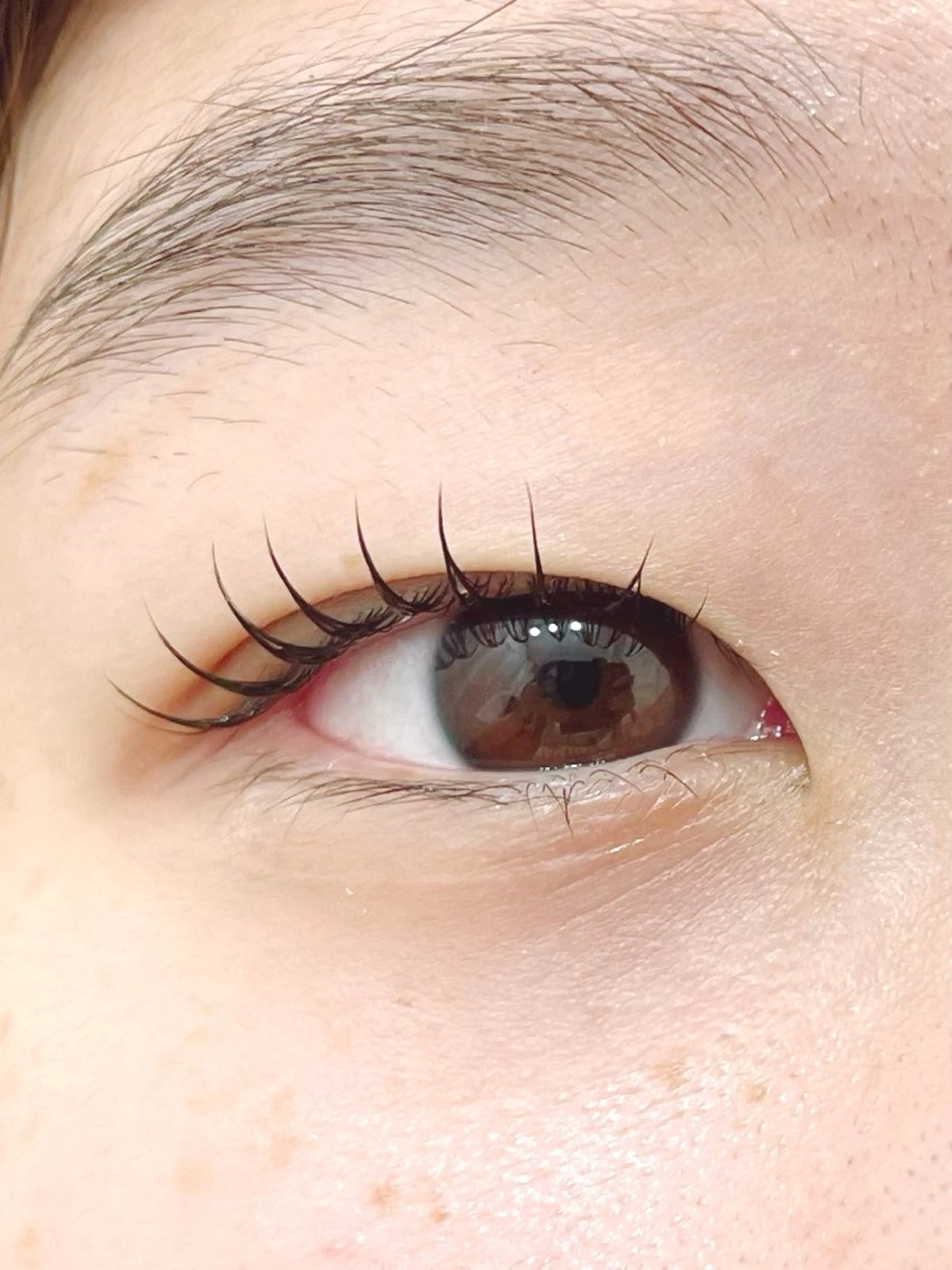 マツエク・マツパ Dカール Rabbit MURAlのマツエク・マツパデザイン