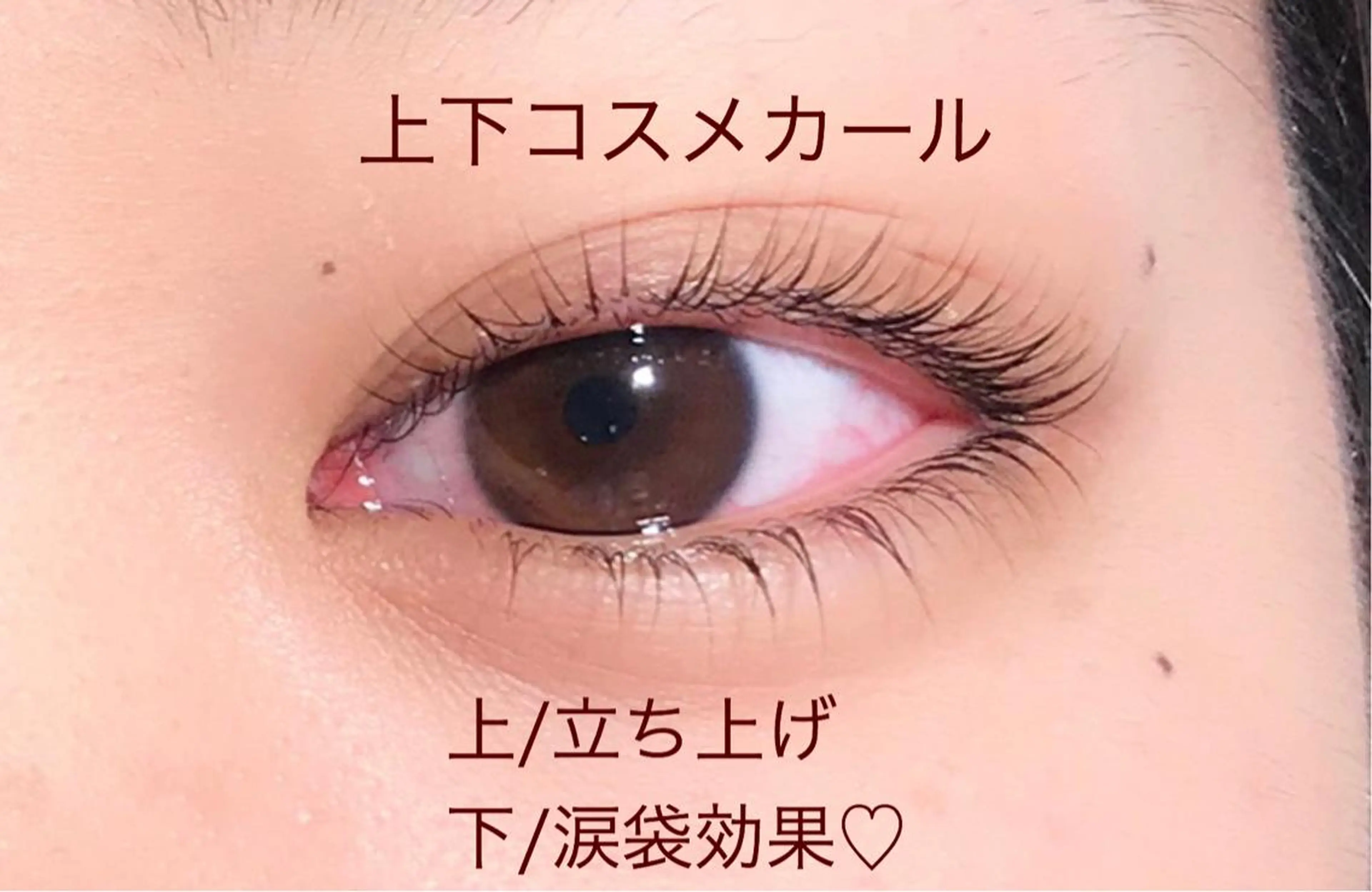 マツエク・マツパ Cia (シア)所属・AYAKA ICHIHARAの眉毛・アイブロウイメージ