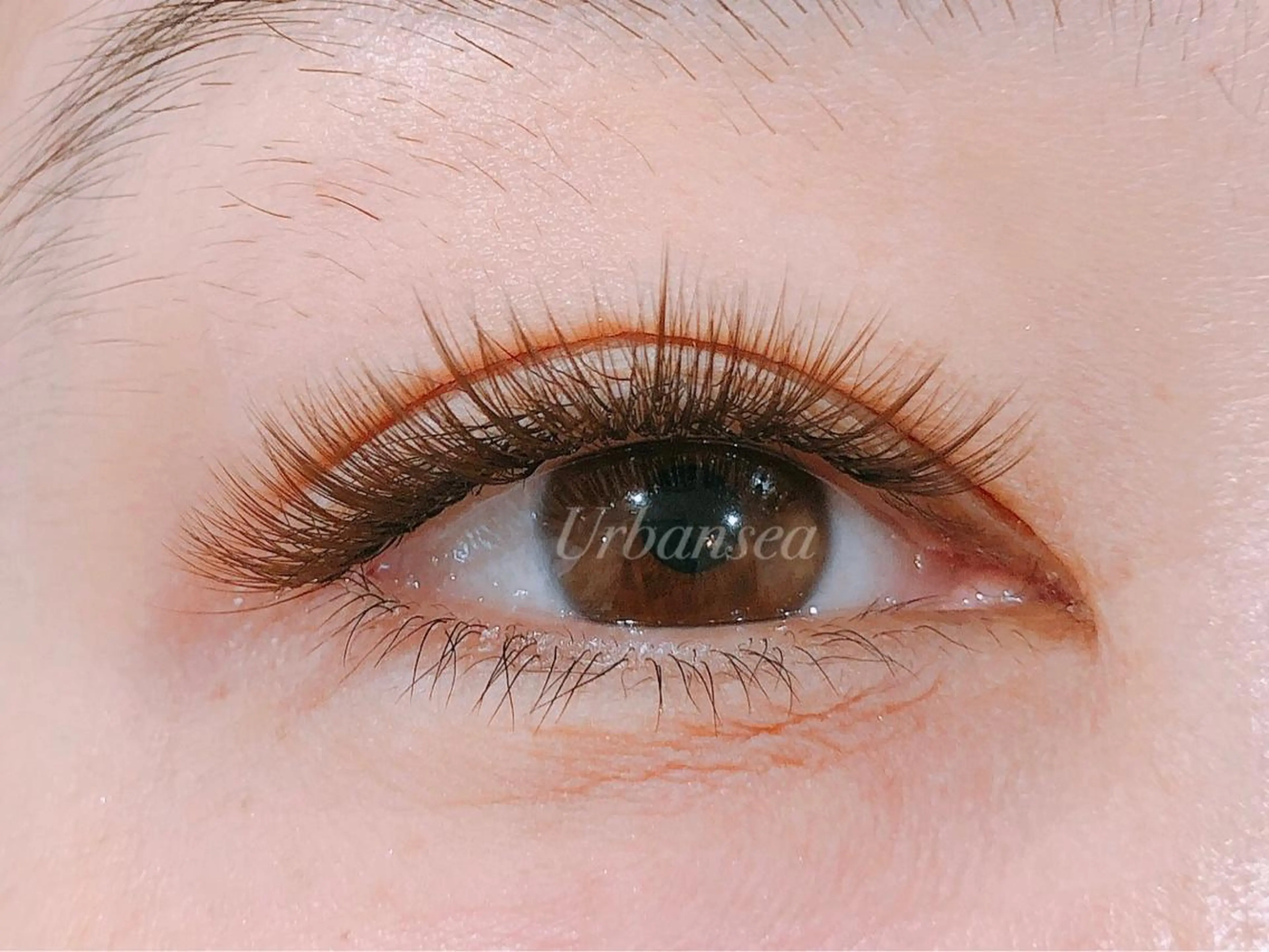 マツエク・マツパ カラーマツエク ボリュームラッシュ Urbansea Eyelash赤羽の眉毛・アイブロウイメージ