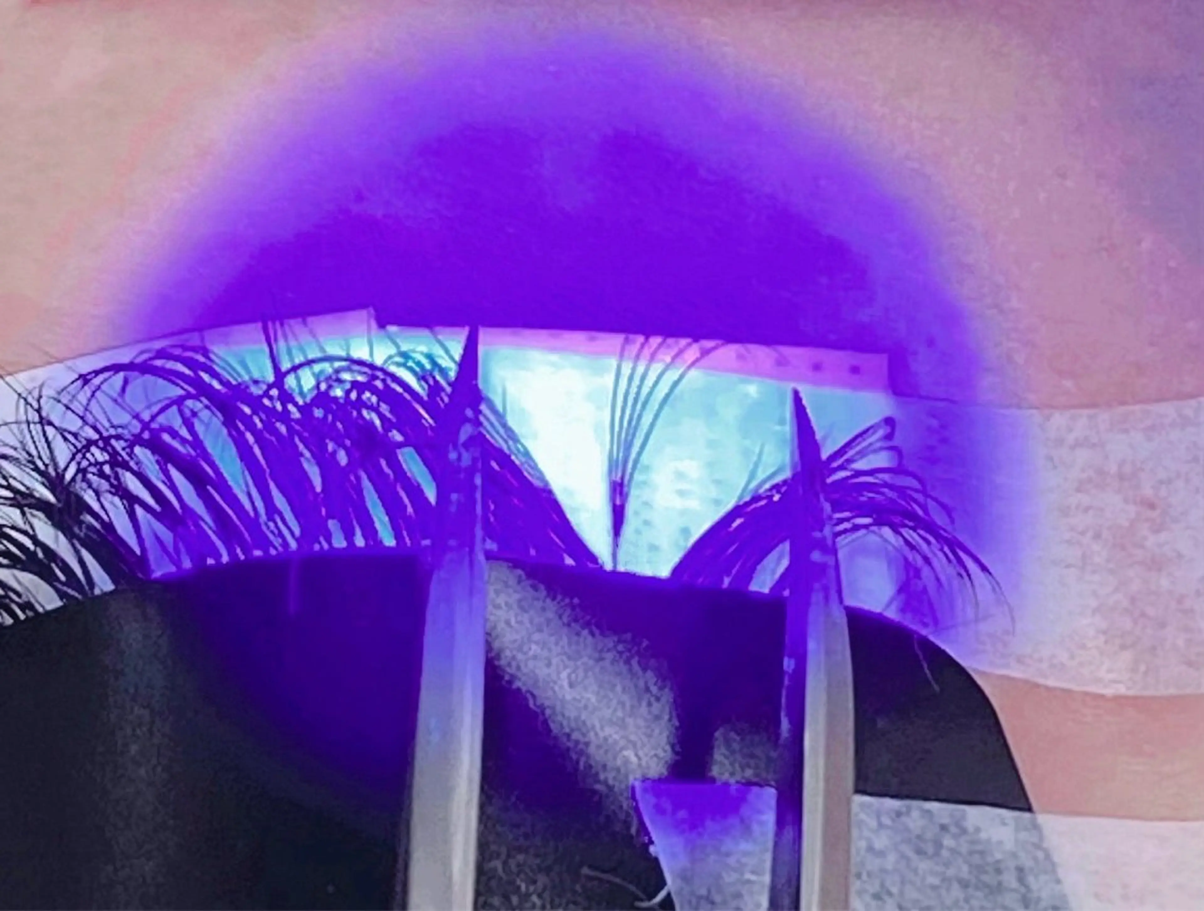🩷 LEDボリュームラッシュ200本 🩷 エクステが付いていないor付け足し限定の写真