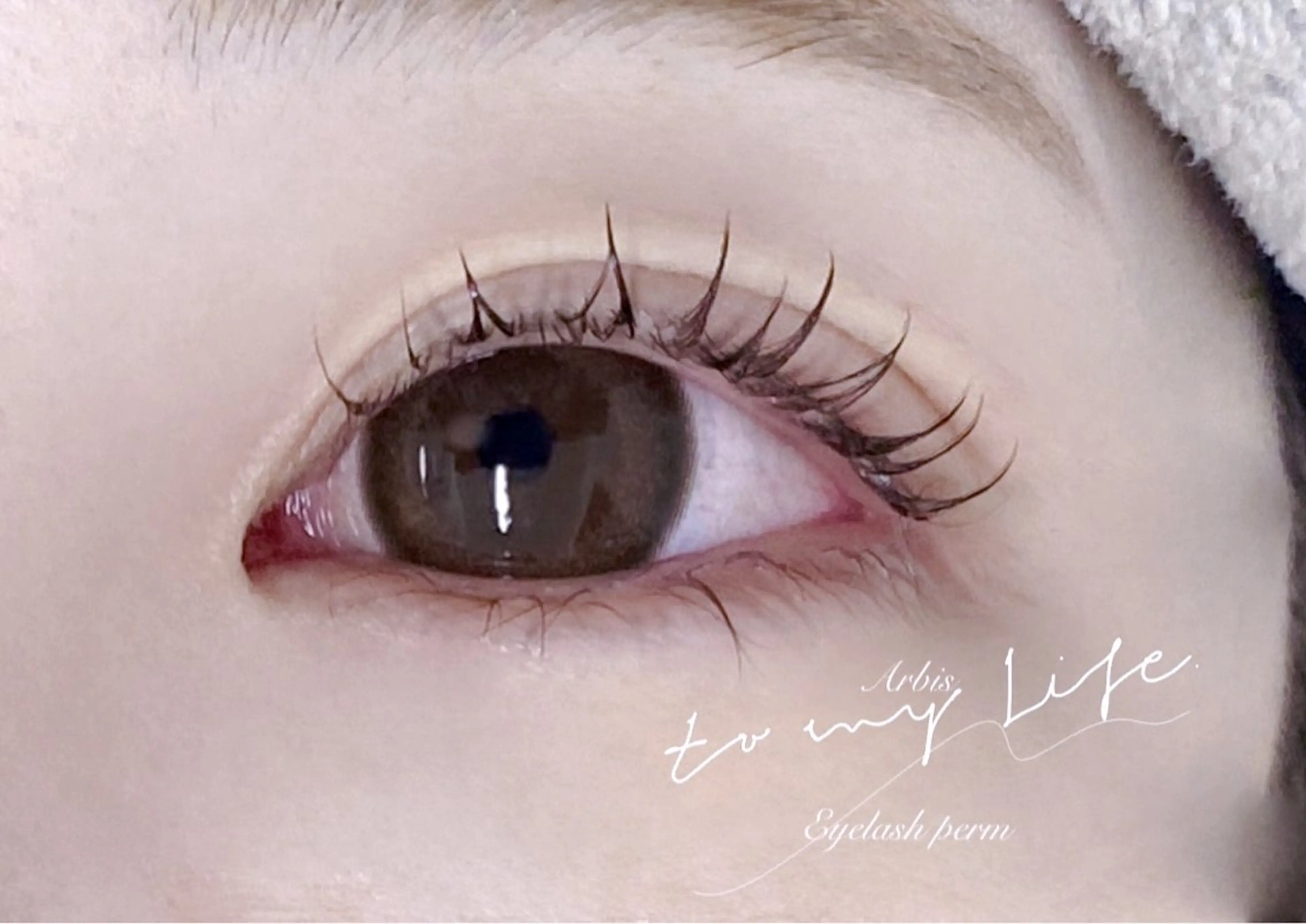 マツエク・マツパ Arbis所属・Arbis madokaの眉毛・アイブロウイメージ