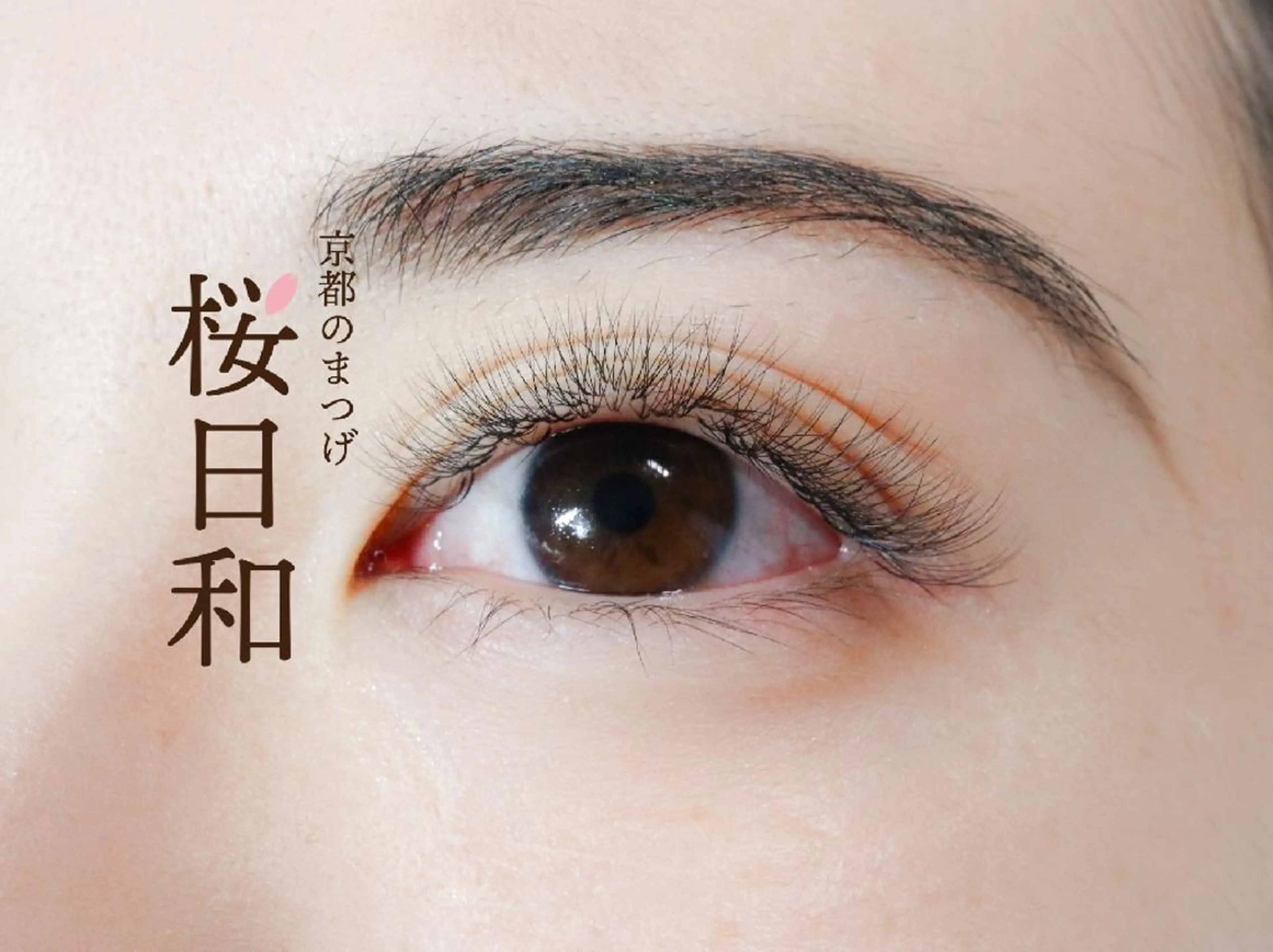 マツエク・マツパ フラットラッシュ ナチュラル まつげパーマ 一重×まつ毛パーマ ボリュームラッシュ 京都のまつげ桜日和 小島美桜のマツエク・マツパデザイン