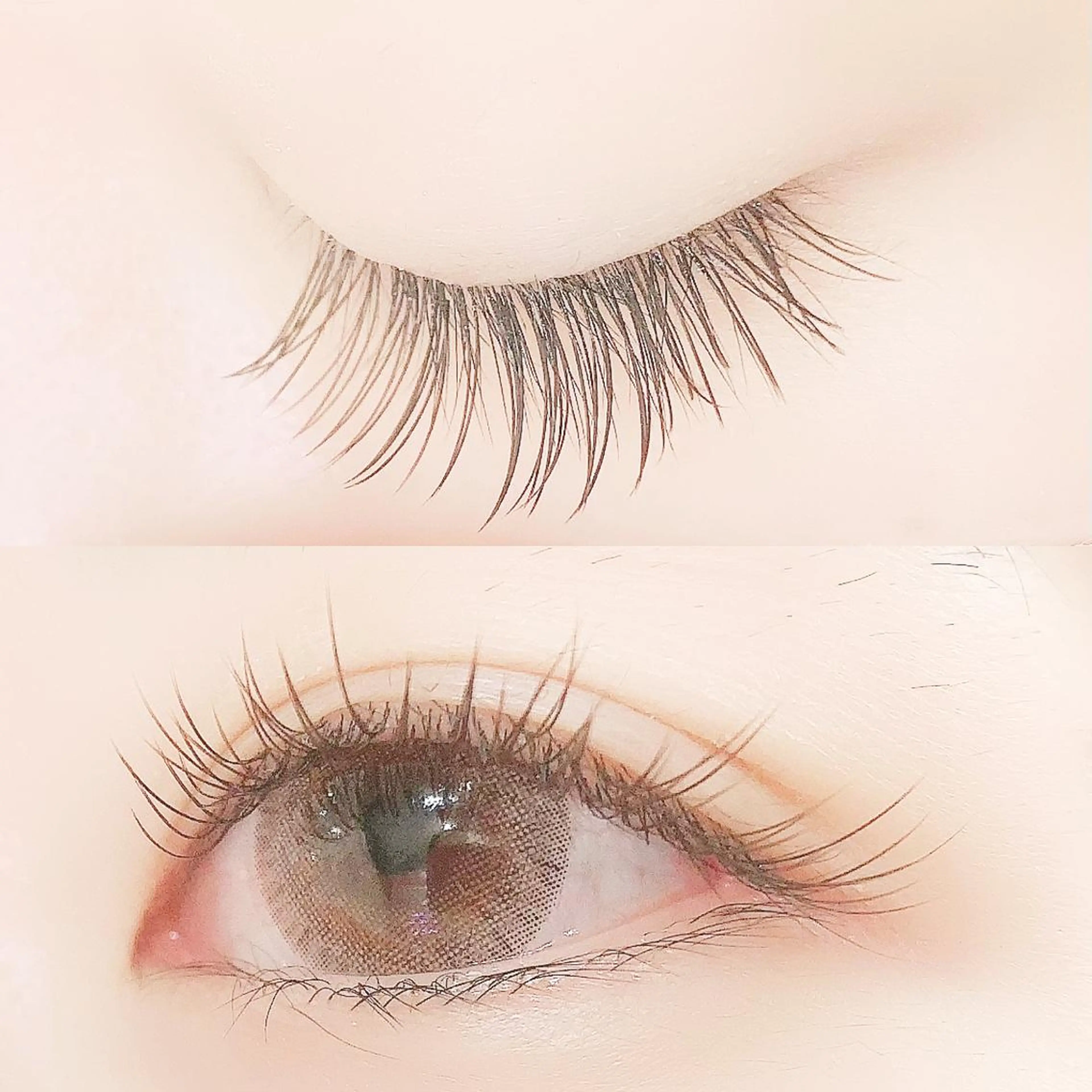 マツエク・マツパ カラーマツエク キュート フラットラッシュ マツエク Lanhr所属・【Lanhr】 🕊aya🕊のマツエク・マツパデザイン