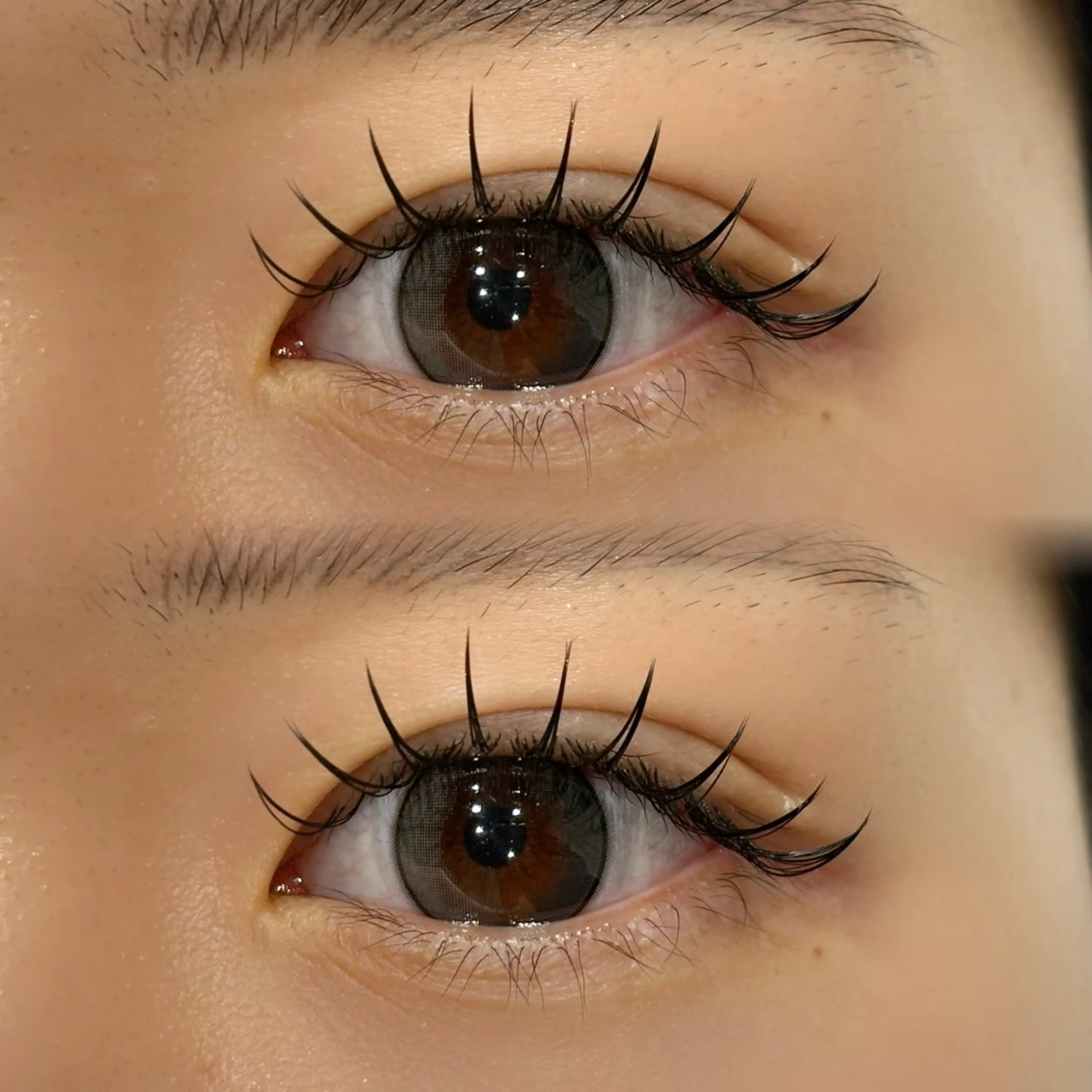 マツエク・マツパ マツエク Zina 荻窪🎀 miyukiのマツエク・マツパデザイン