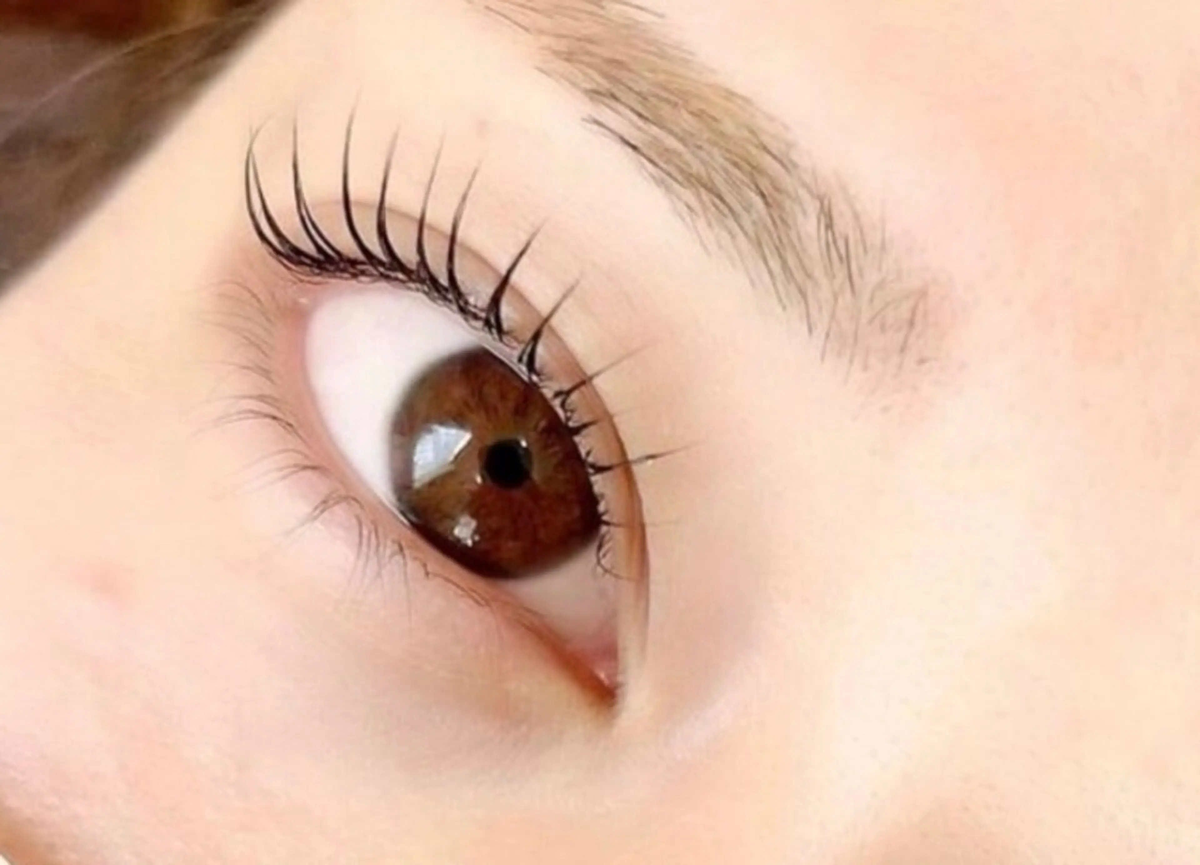 マツエク・マツパ マツパ アレグレス所属・アレグレス@池袋 🌹大人気店🌹のマツエク・マツパデザイン