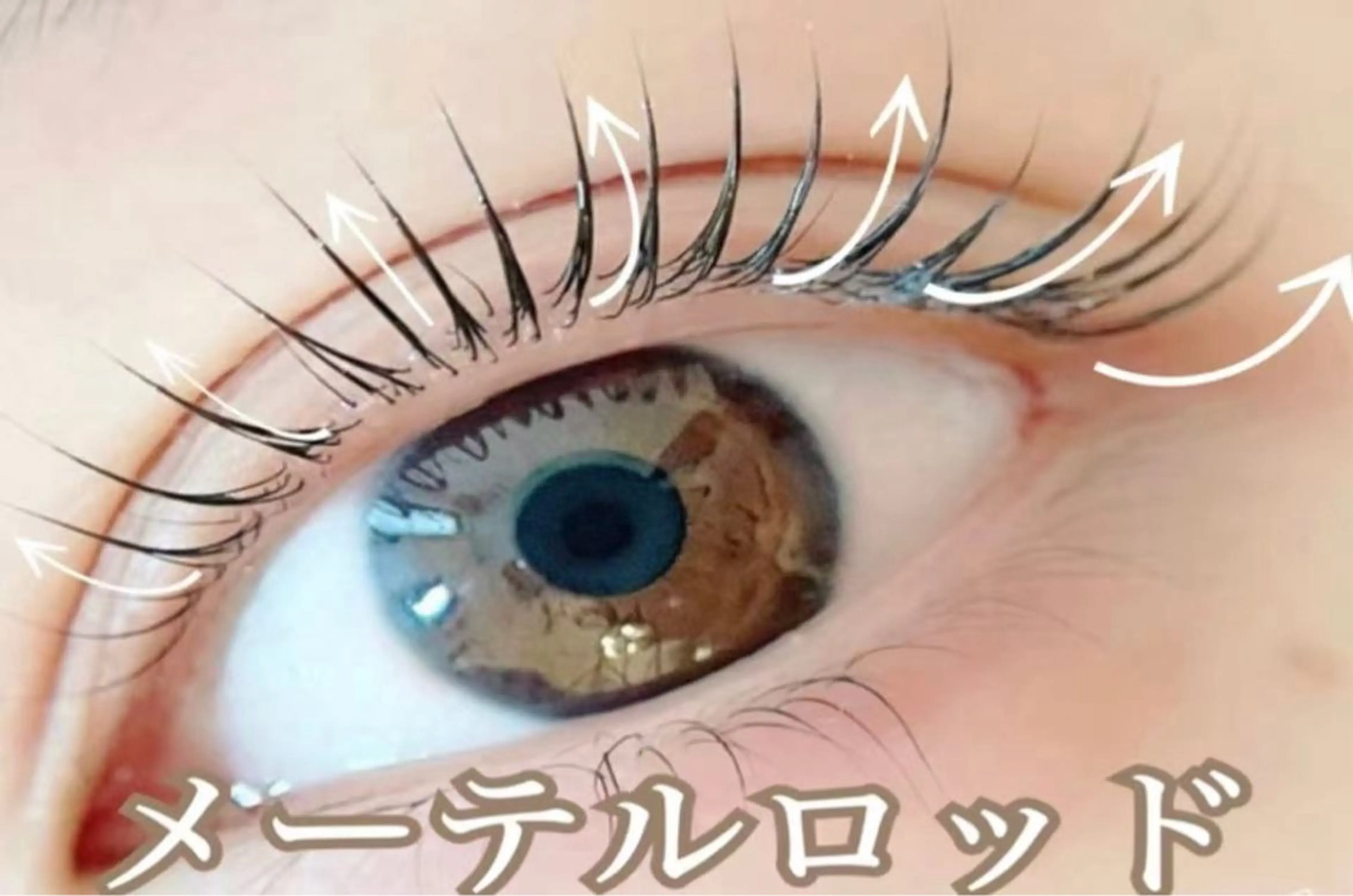 メーテルラッシュリフト【上】　美容液付きの写真