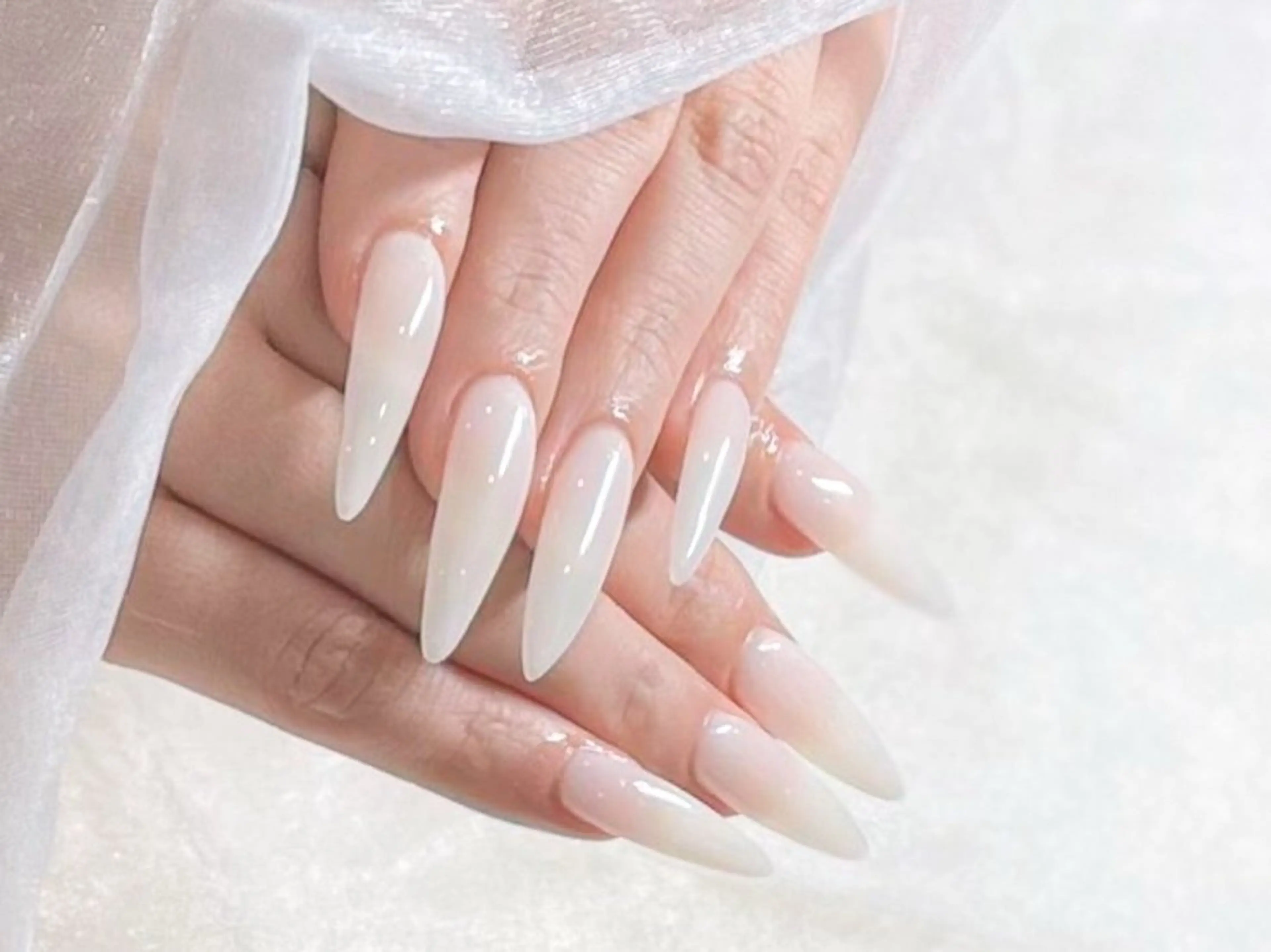 ネイル ワンカラーネイル Nailsalon ANDYのネイルデザイン