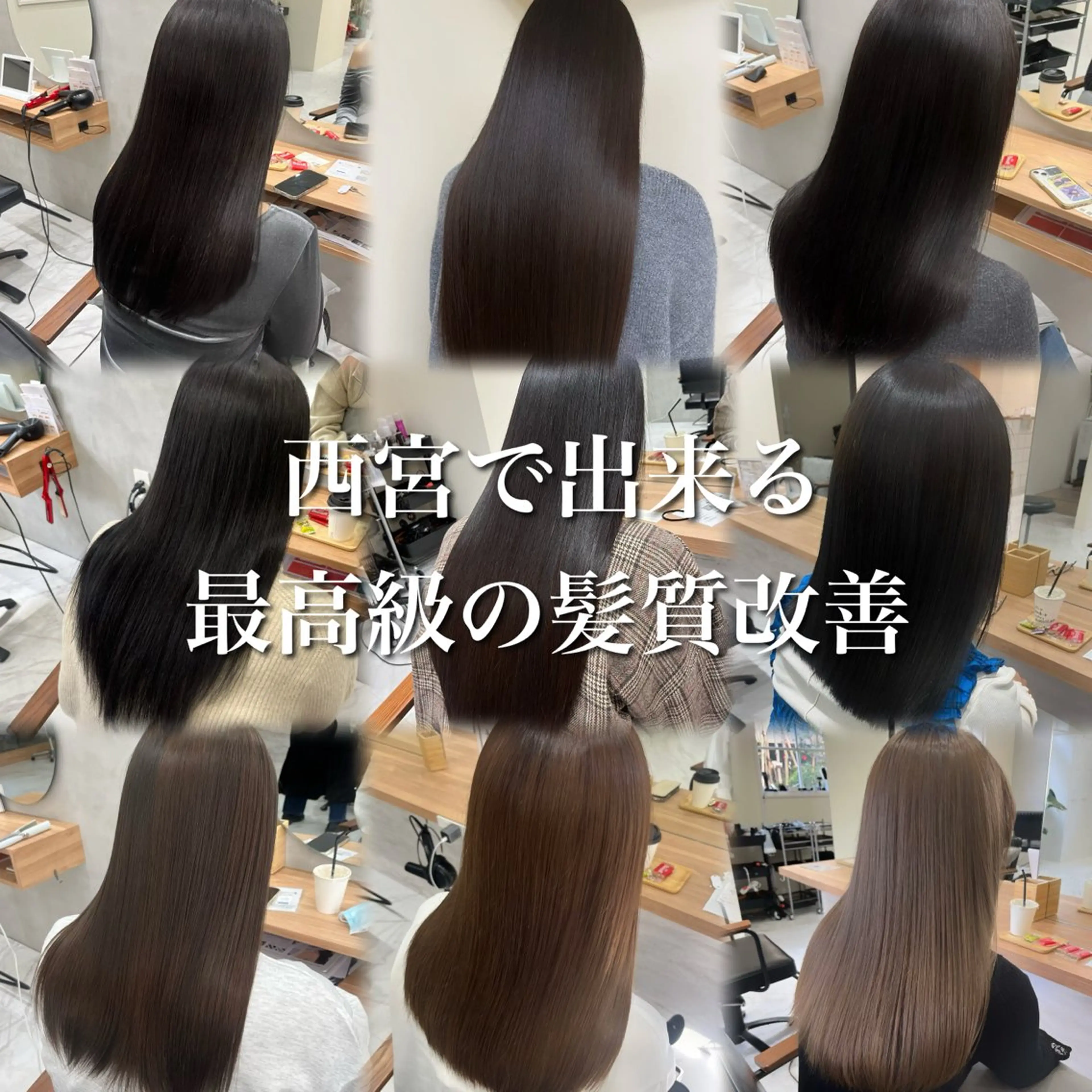 ワンカラーの写真