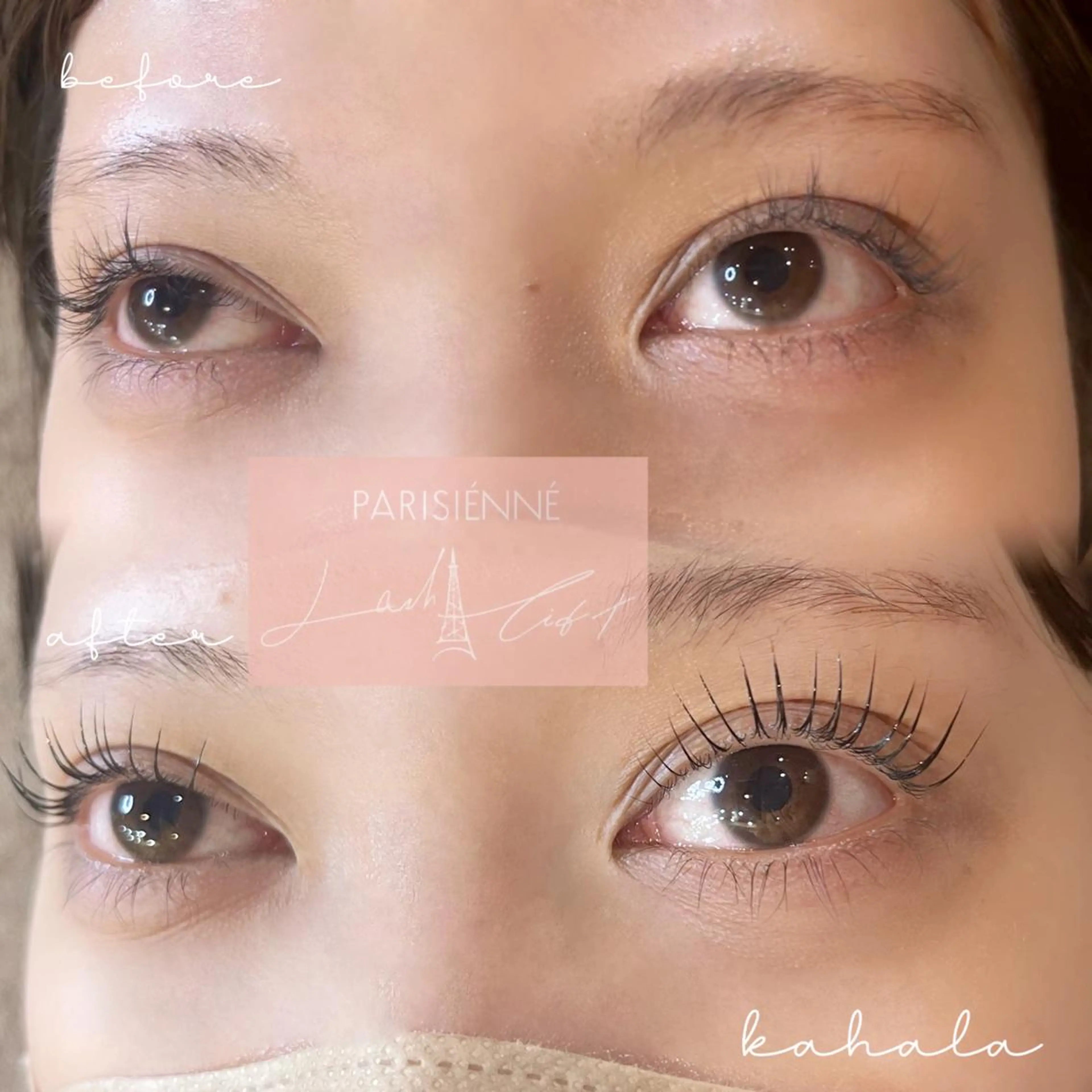 マツエク・マツパ Fujimoto 🦭⸝⋆꙳のマツエク・マツパデザイン