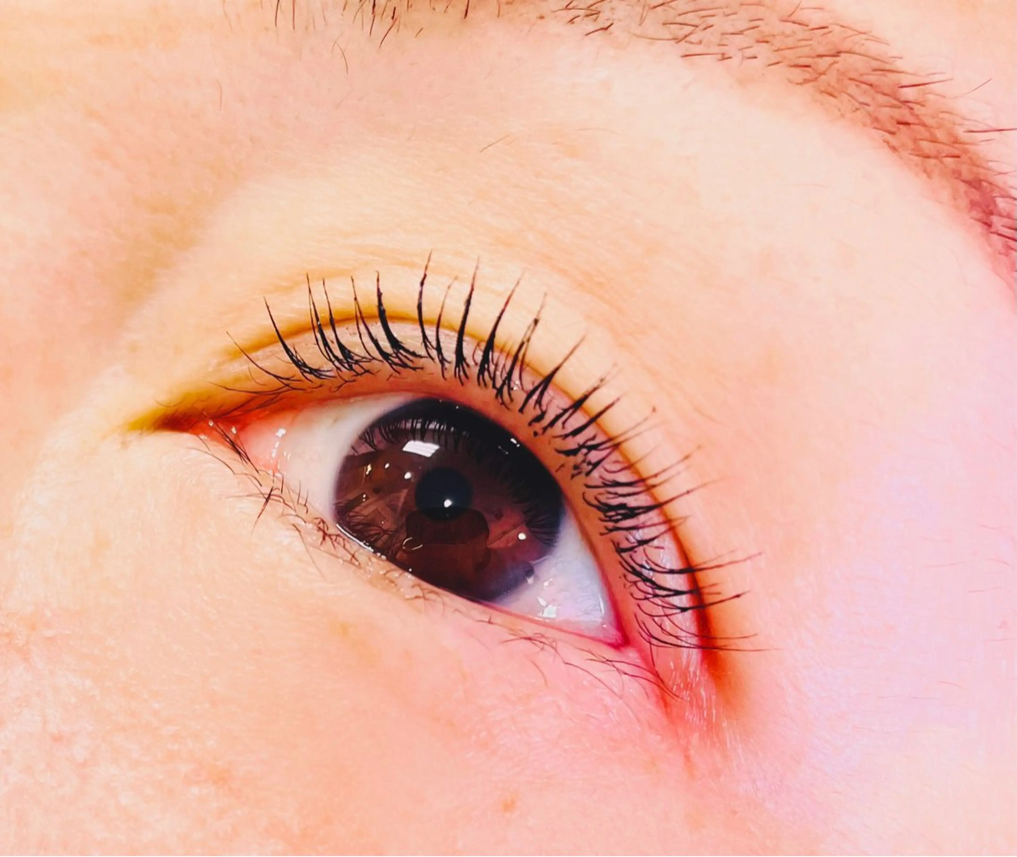 マツエク・マツパ 一重×まつ毛パーマ Any eyelash＆hair所属・Any eyelashのマツエク・マツパデザイン
