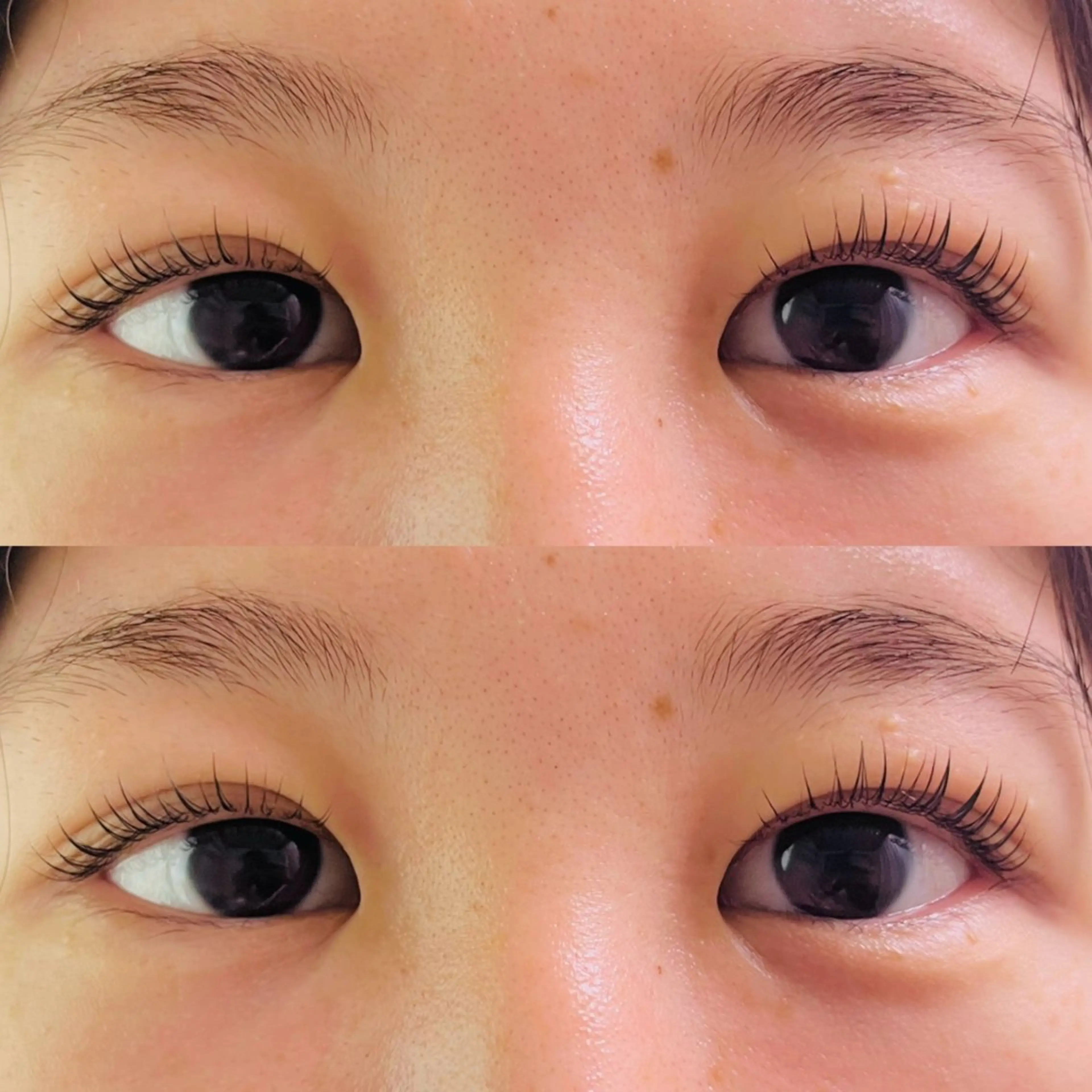 マツエク・マツパ HERA 【ヘラ】のマツエク・マツパデザイン