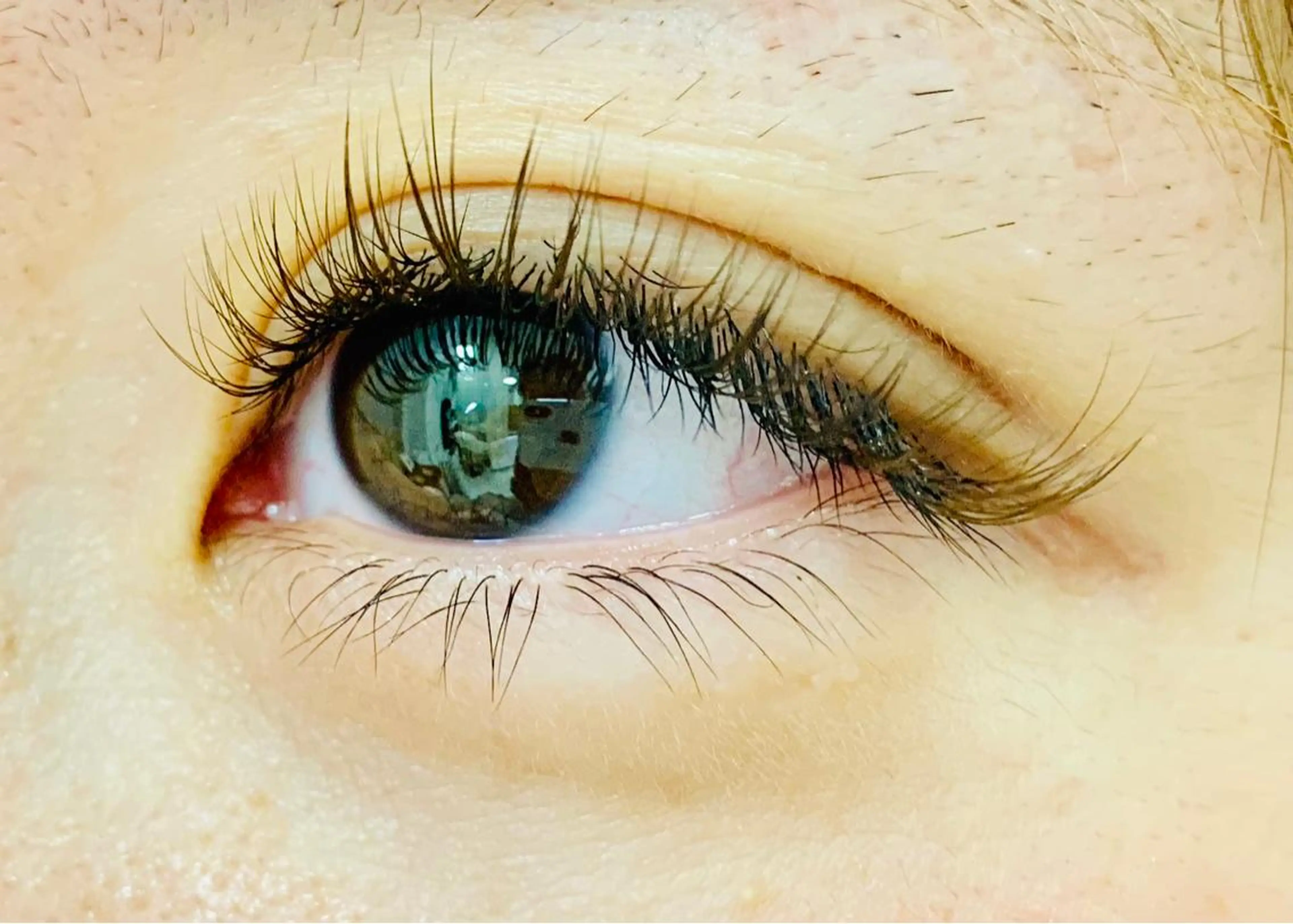 ブラウンエクステ!120束(240本)❣️6000円の写真