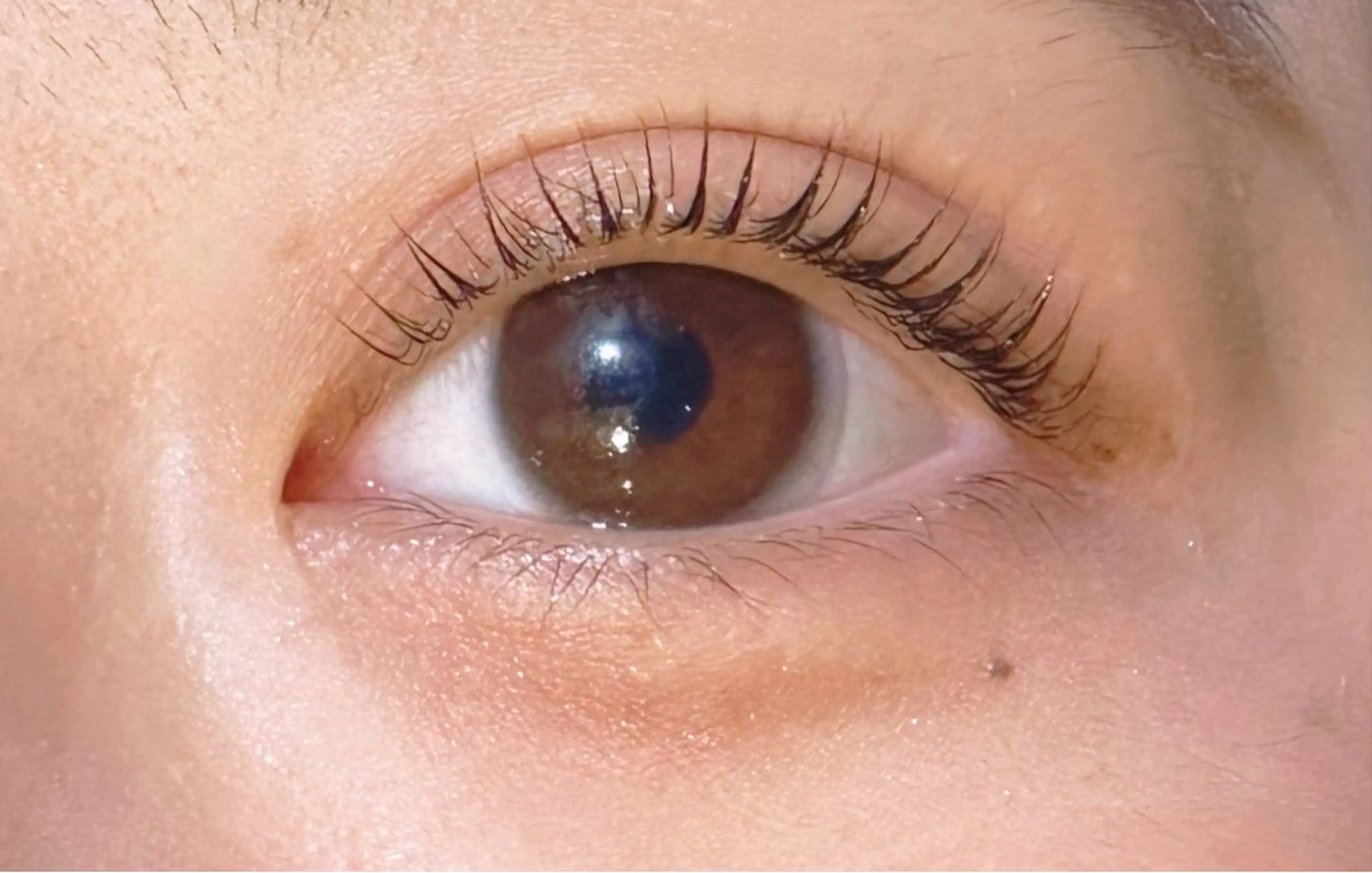 🎀まつ毛パーマ🎀／パリジェンヌ風も🙆コーティング付き👀の写真