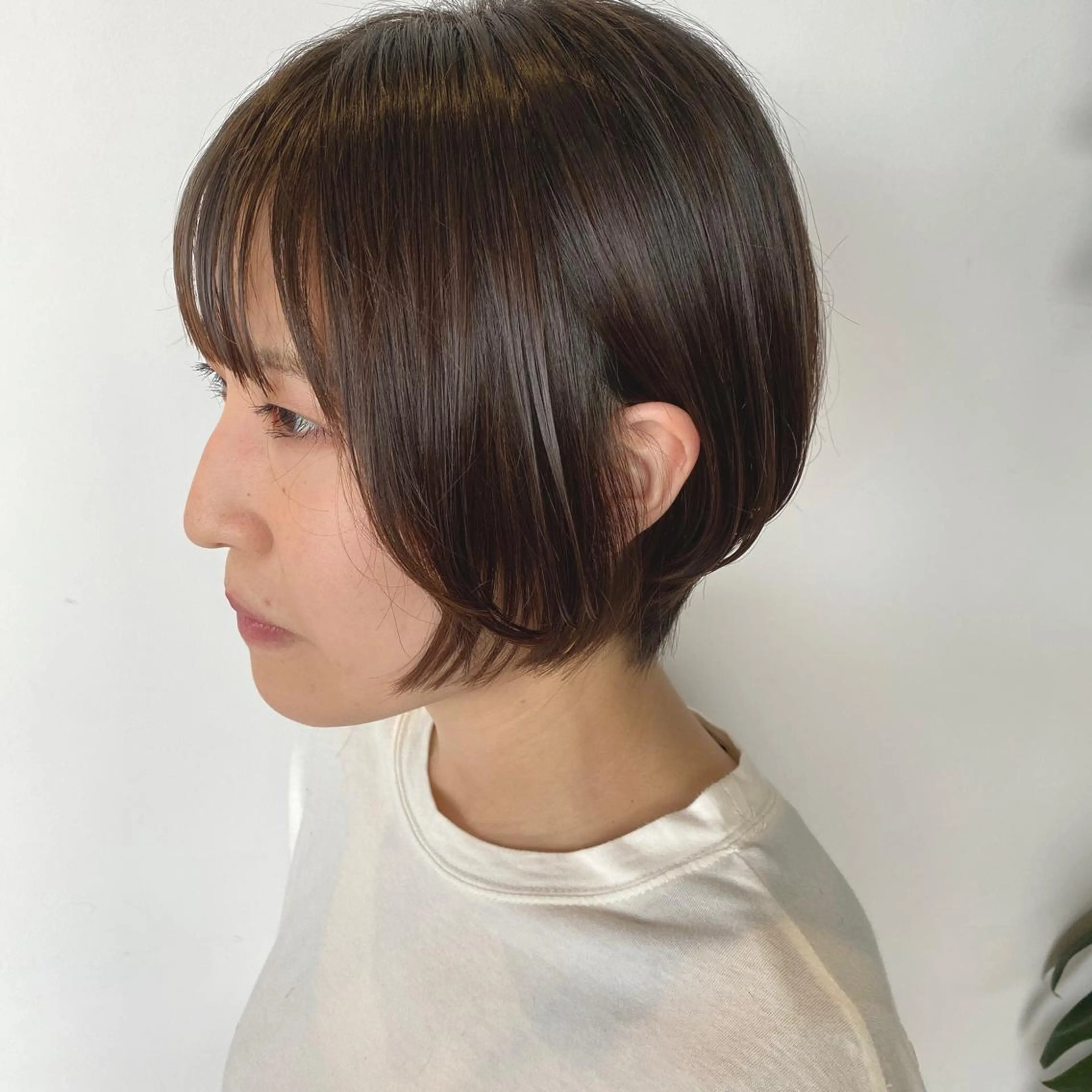 ショート 高橋 舟太郎のヘアスタイル