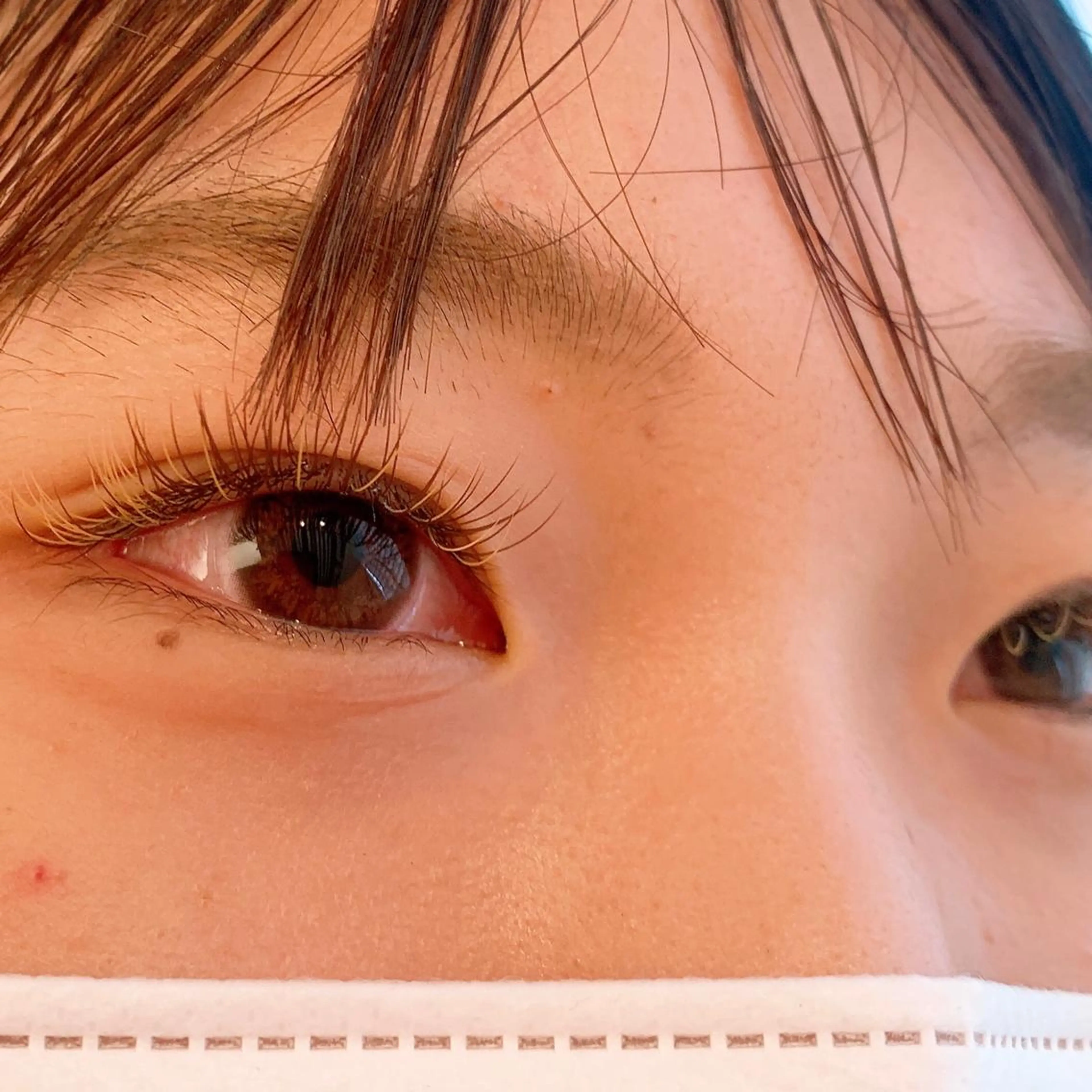 マツエク・マツパ カラーマツエク Lucia 深野のマツエク・マツパデザイン