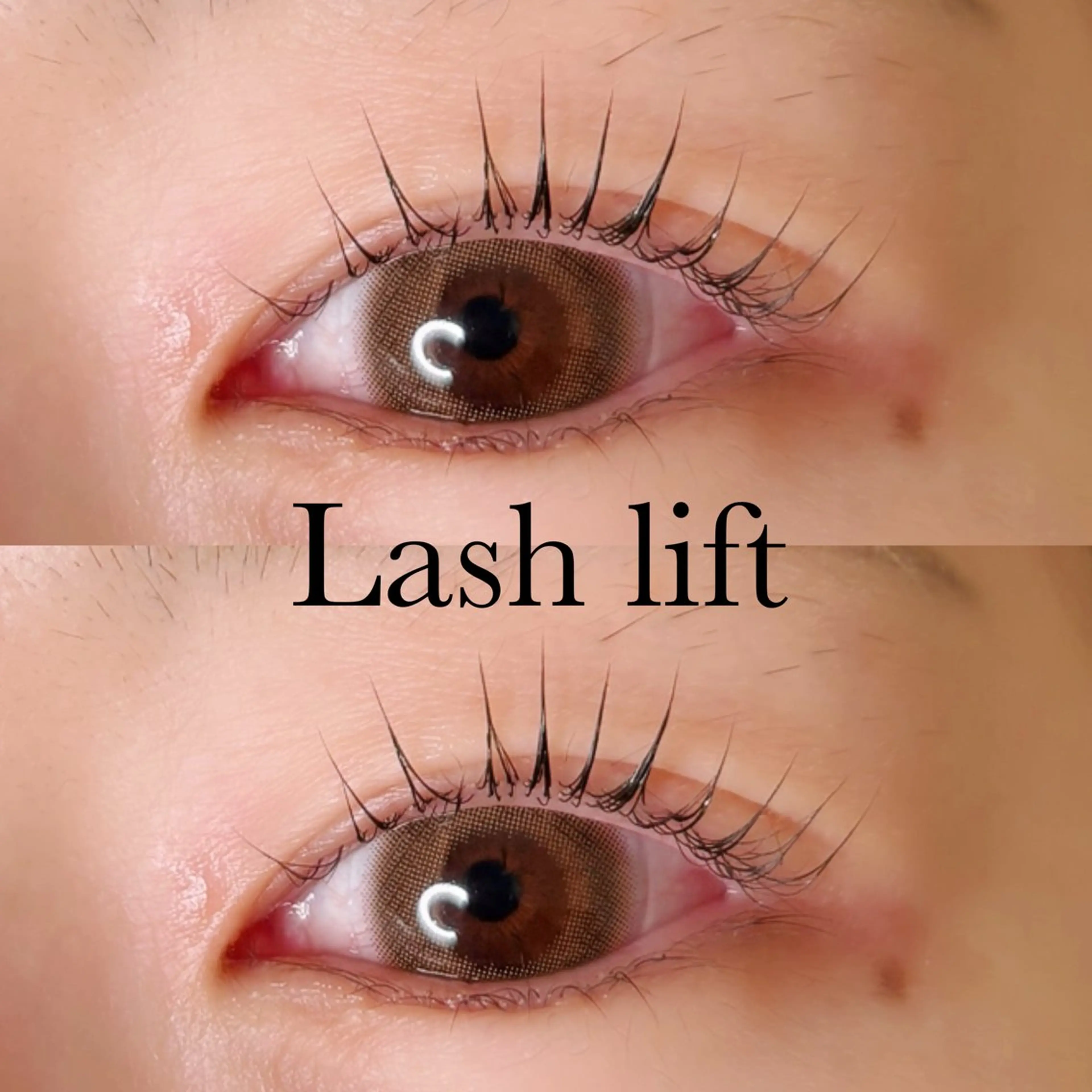 マツエク・マツパ Lカール 一重×まつ毛パーマ 福田 渚月のマツエク・マツパデザイン