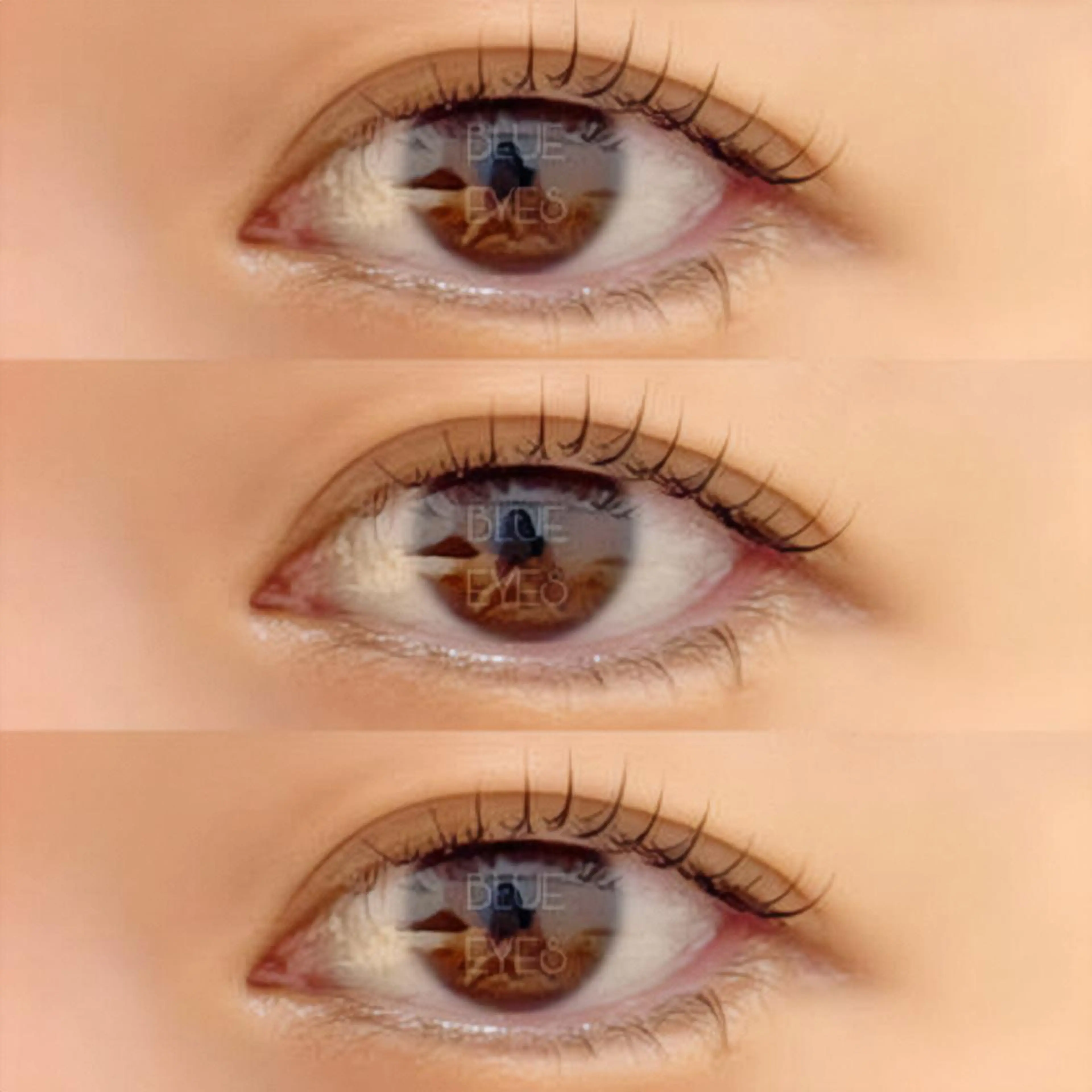 マツエク・マツパ Cカール マツパ 🦋表参道/原宿 🦋Chibaの眉毛・アイブロウイメージ