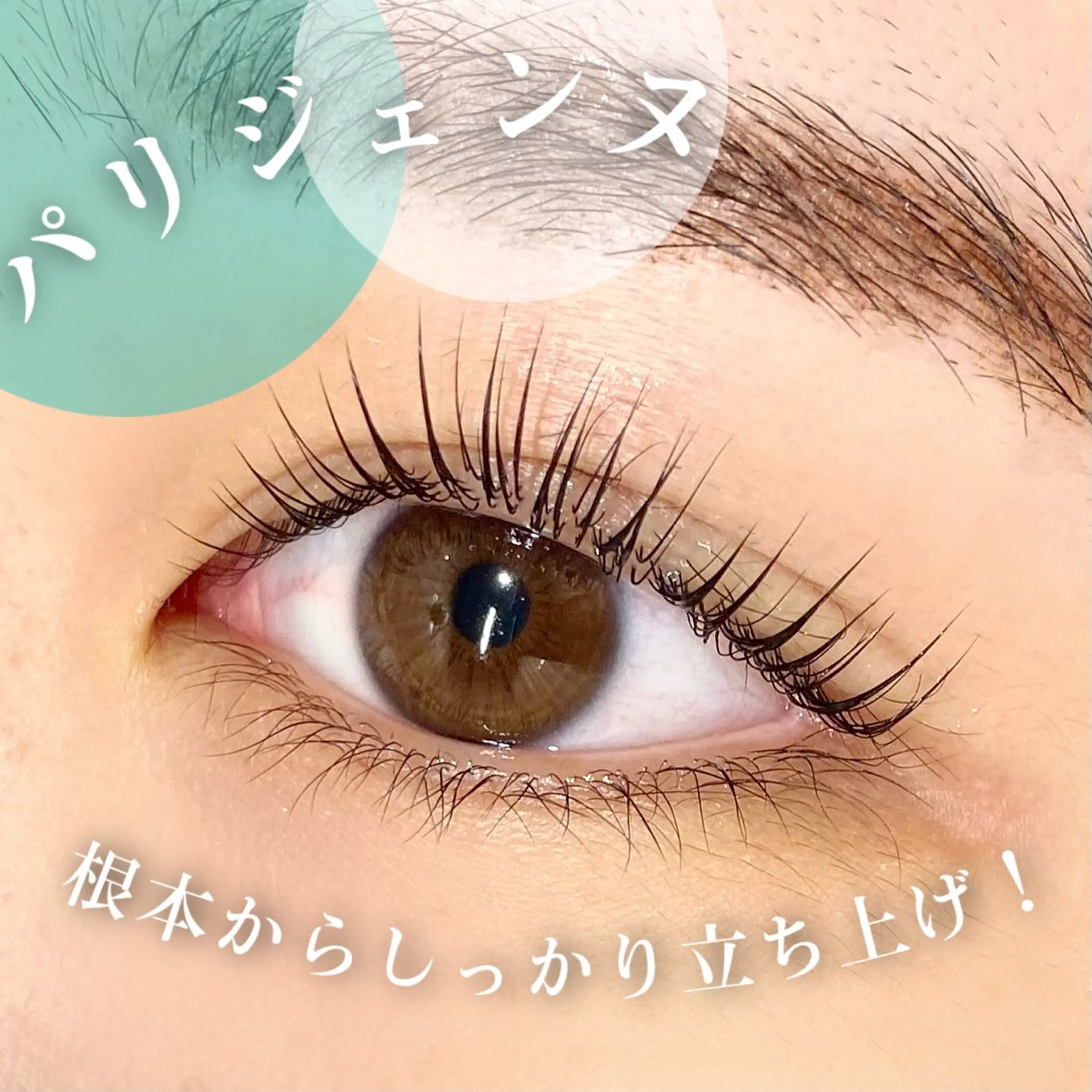 マツエク・マツパ パリジェンヌラッシュリフト マツパ 🦋eyelist 株　カブ🦋横浜のマツエク・マツパデザイン