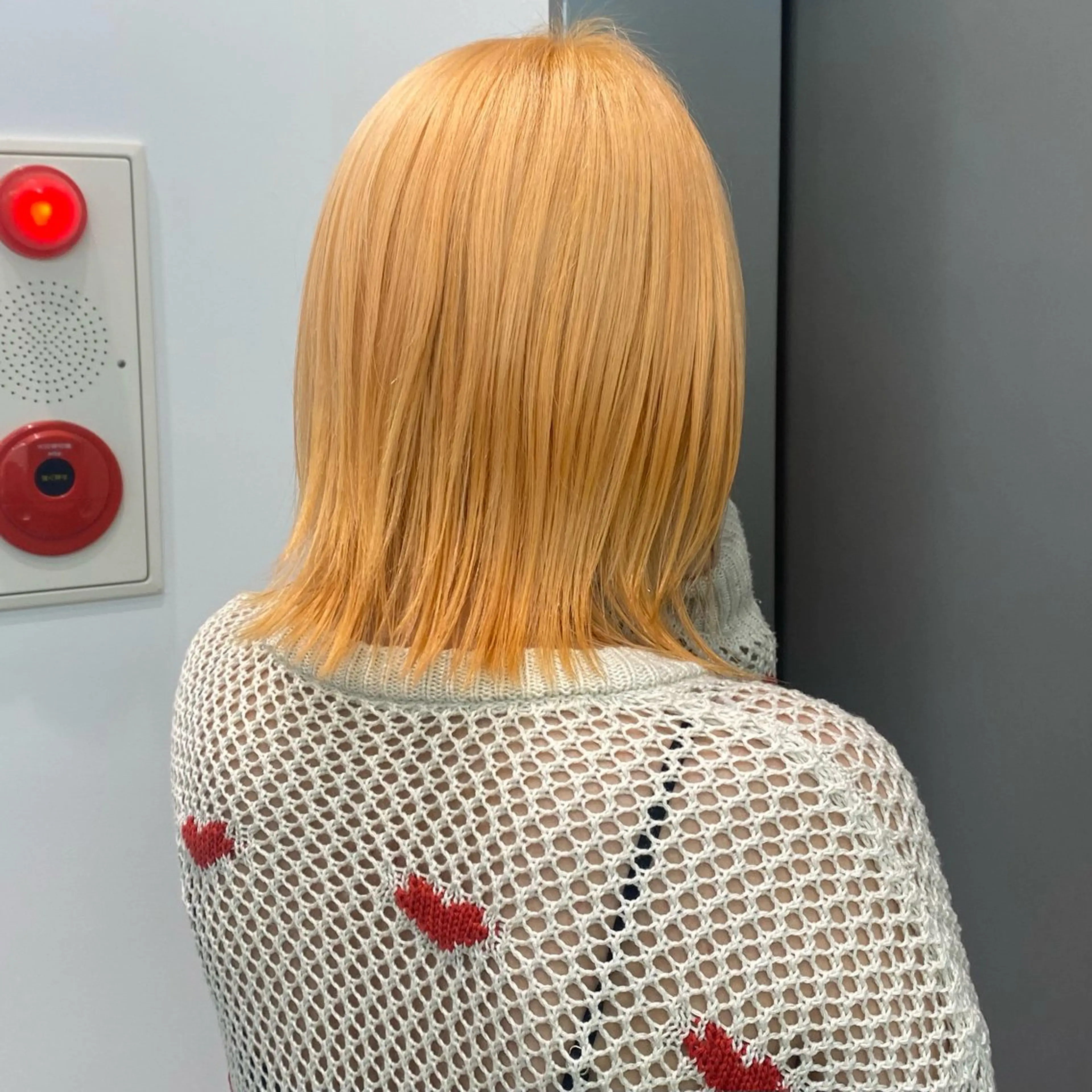 ショート カラー カット ヘアカラー ウルフカット /ブリーチayamiのヘアスタイル