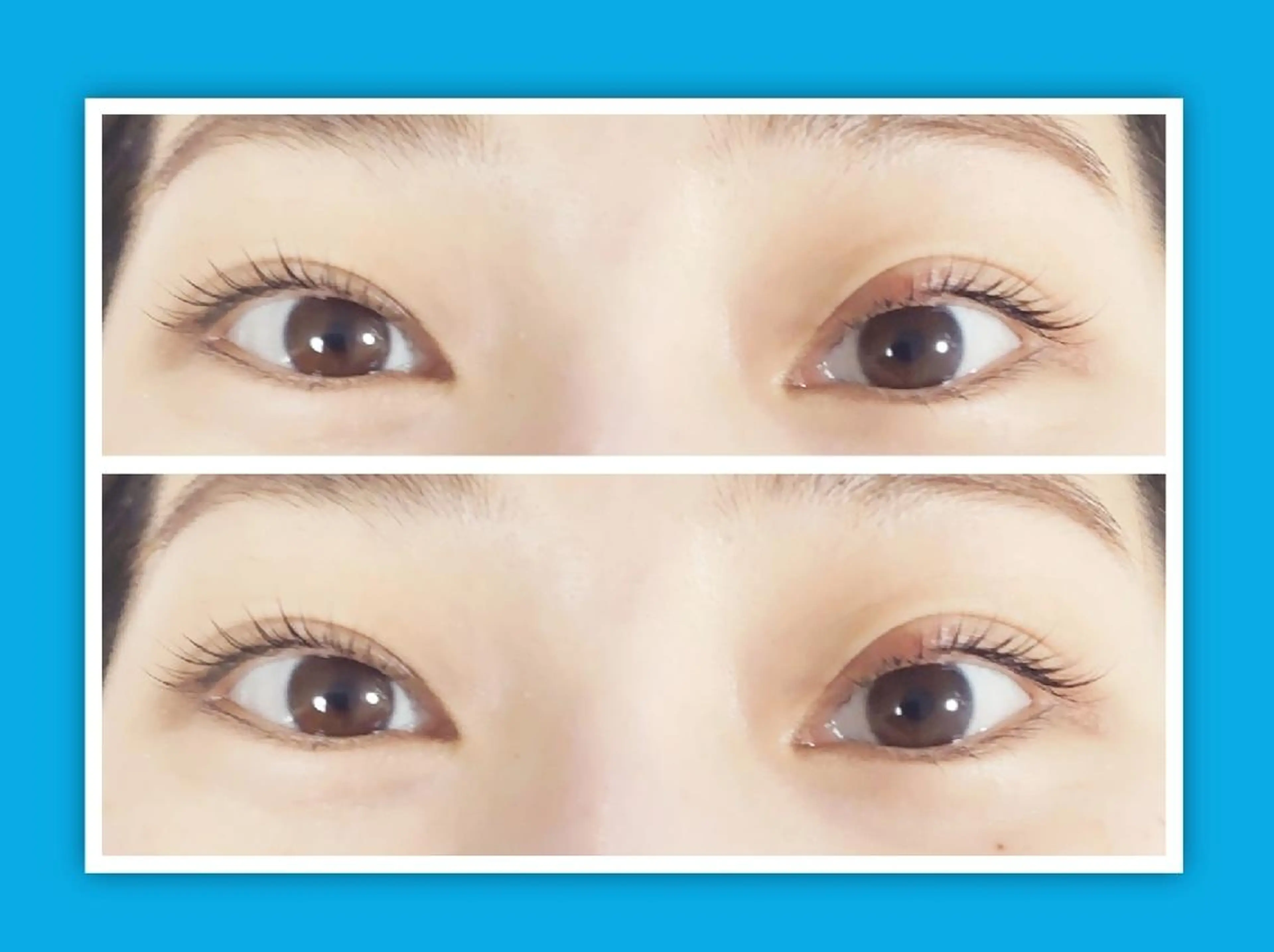 マツエク・マツパ 一重×まつ毛パーマ 🎼グラデーション スタイル札幌♫*✧のマツエク・マツパデザイン