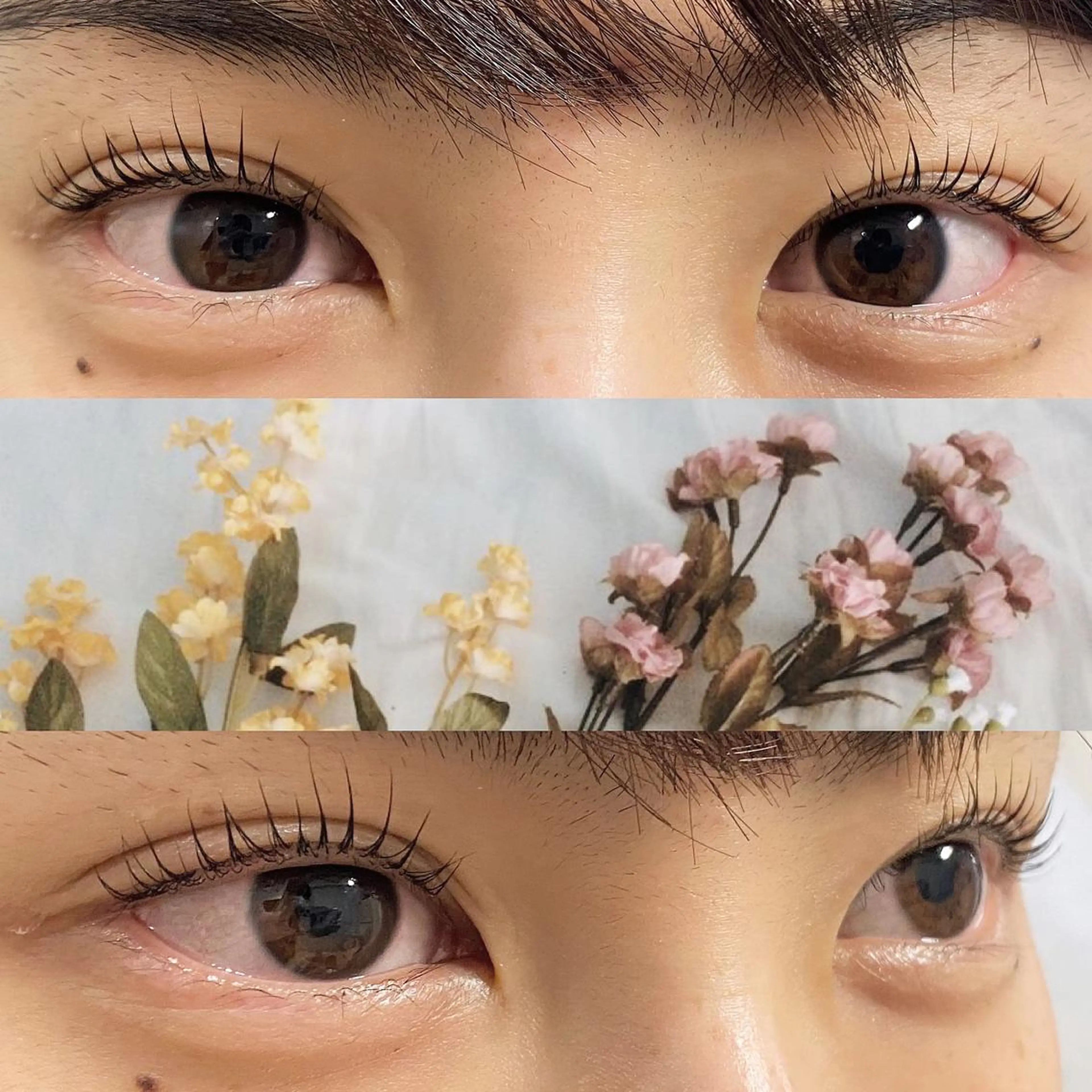 マツエク・マツパ パリジェンヌラッシュリフト Eyelash 🎀 𝐀𝐲𝐮𝐦𝐢のマツエク・マツパデザイン
