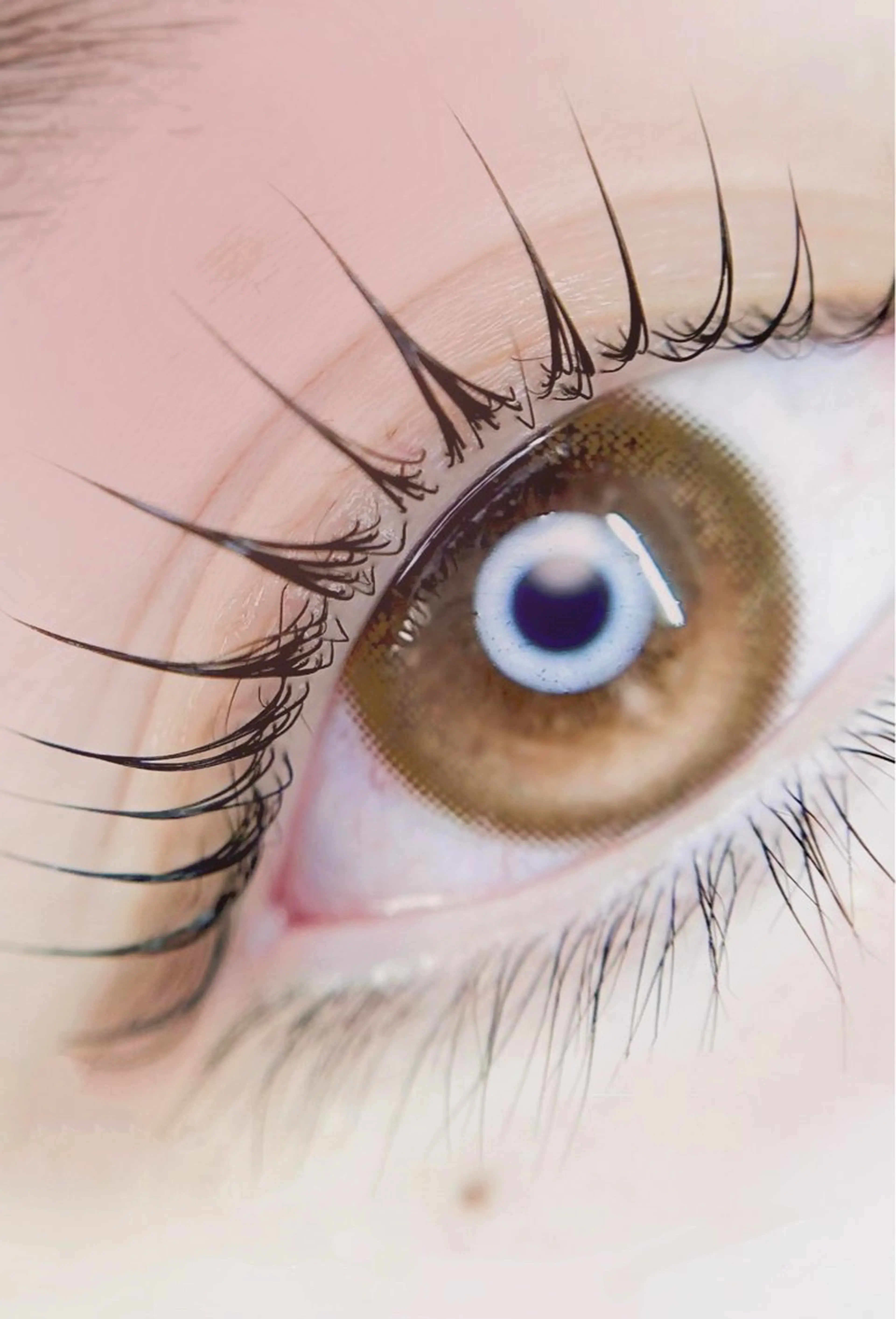 マツエク・マツパ パリジェンヌラッシュリフト マツパ eyelist. mizukiの眉毛・アイブロウイメージ