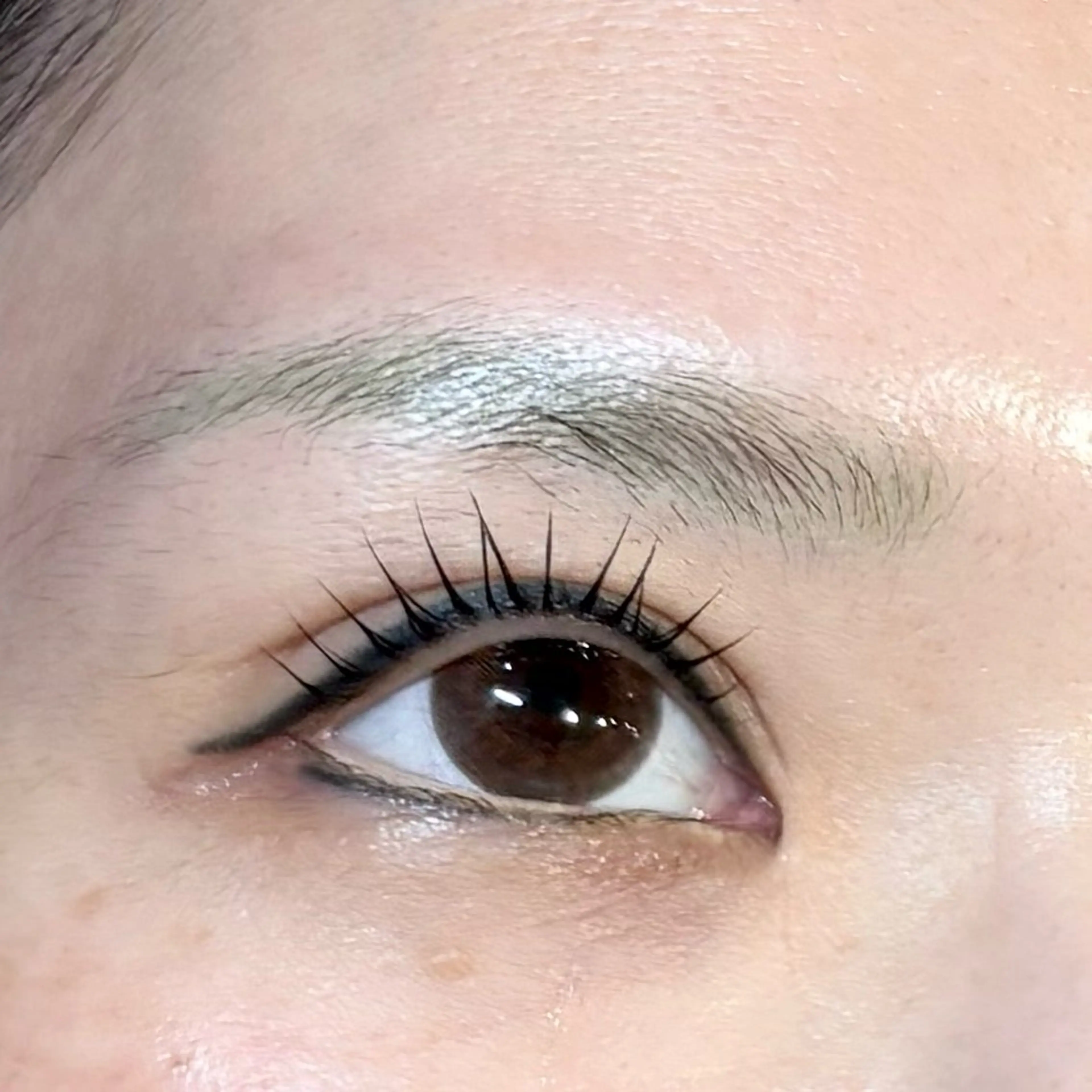 マツエク・マツパ まつげパーマ Gioia  池袋所属・Gioia ワタナベのマツエク・マツパデザイン