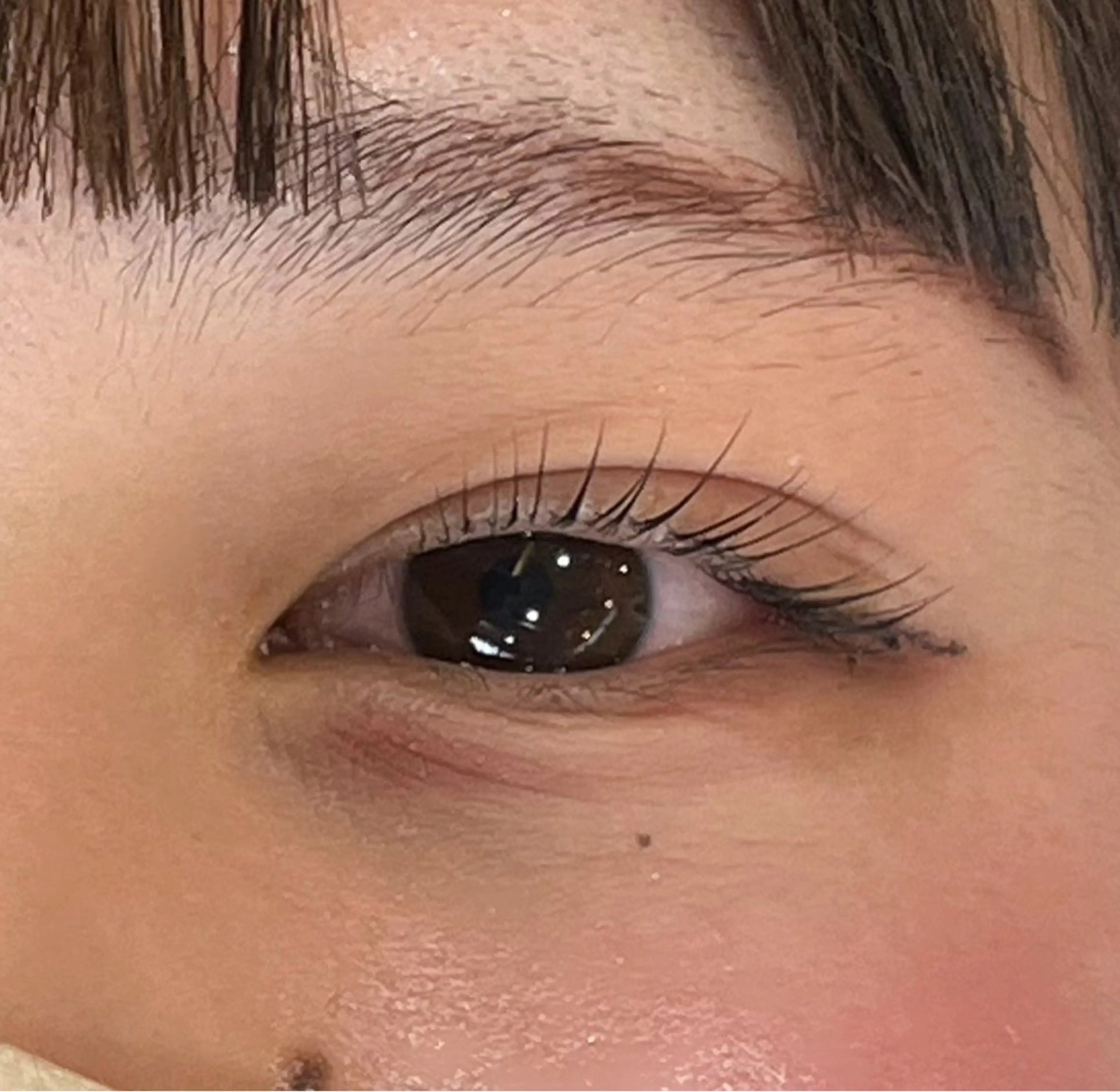 【無料】リクエスト不可5月2日限定モデルパーマorパリジェンヌラッシュリフトの写真