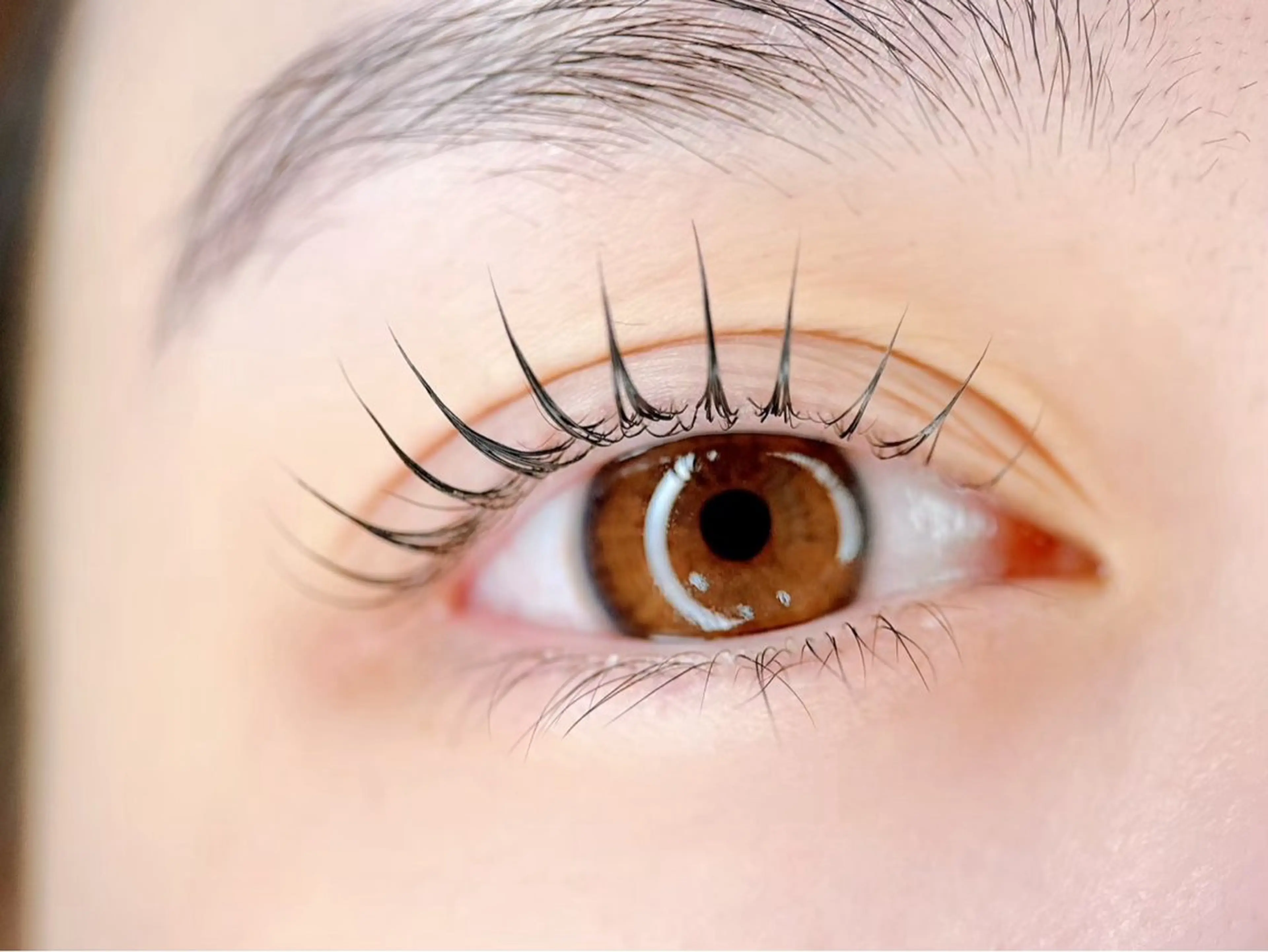 【16日まで限定】ラッシュリフト上※16日以降は料金が変更になりますので予めご了承ください。の写真