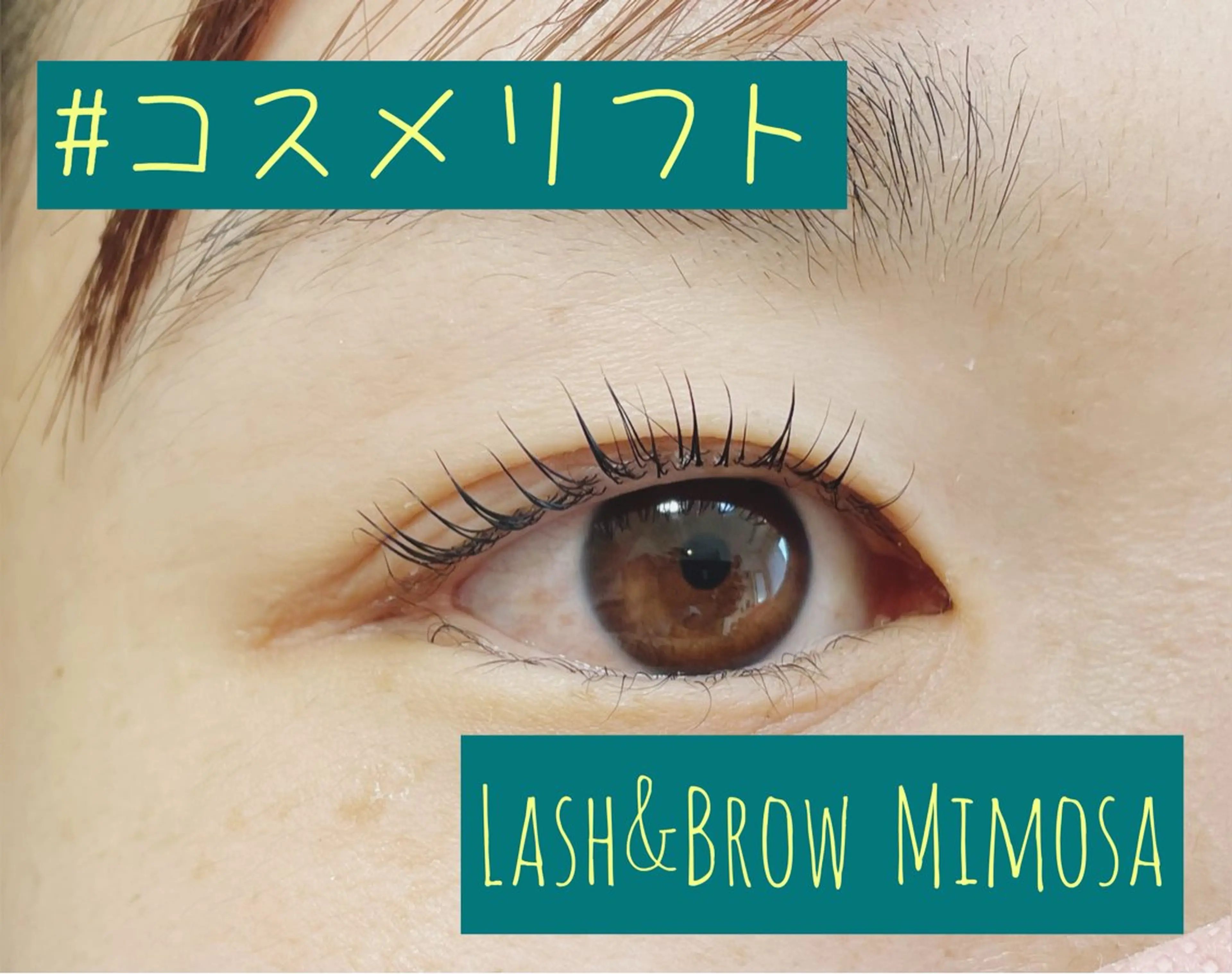 マツエク・マツパ マツパ Lash&Brow  Mimosa所属・Lash&Brow Mimosaのマツエク・マツパデザイン