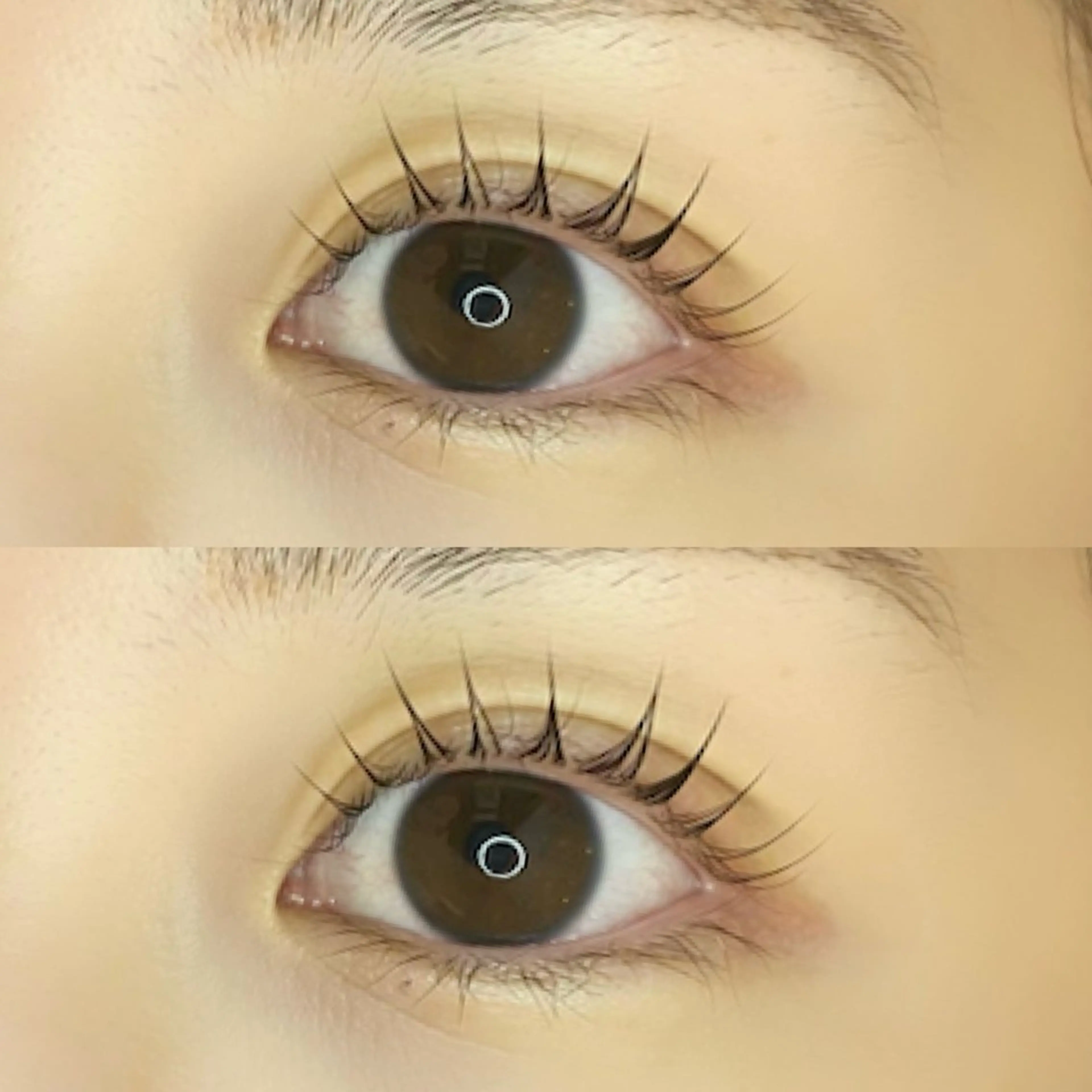 マツエク・マツパ Jewel. 🥀misatoのマツエク・マツパデザイン