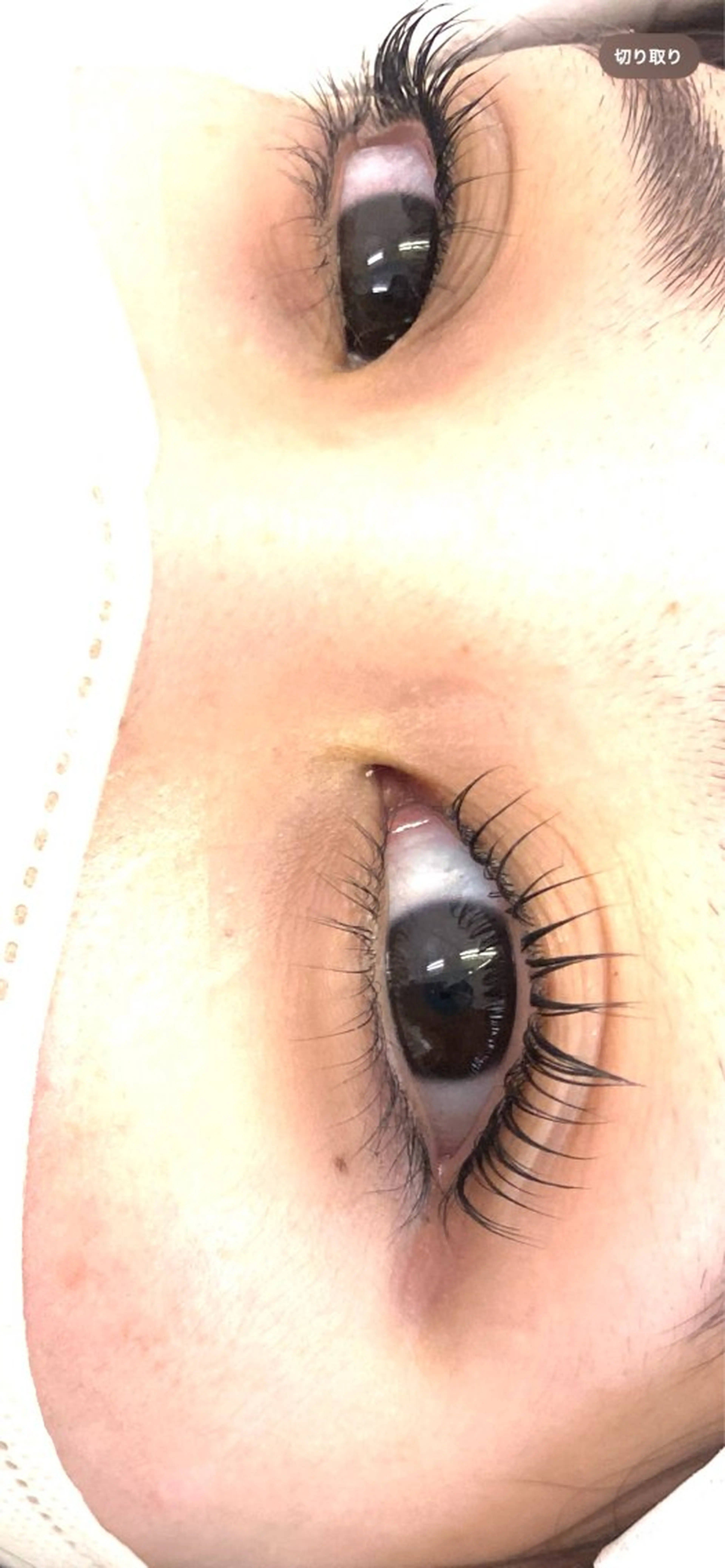 まつ毛パーマ🦋の写真