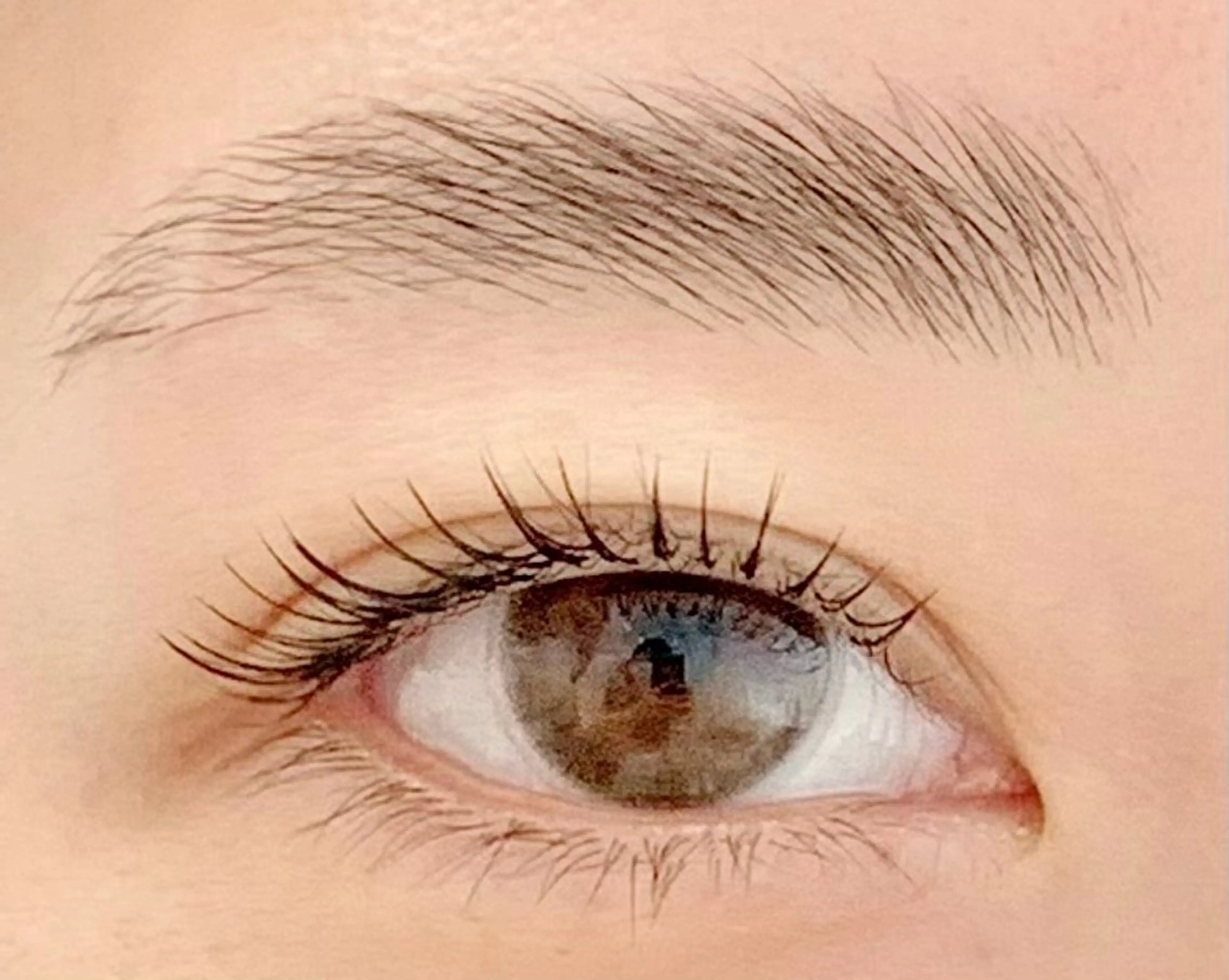 マツエク・マツパ ケラチンラッシュリフト ブラウンラッシュ 束感まつ毛 カラーマツエク フラットラッシュ マツエク BellFlower Aki（眉・まつげ）のマツエク・マツパデザイン