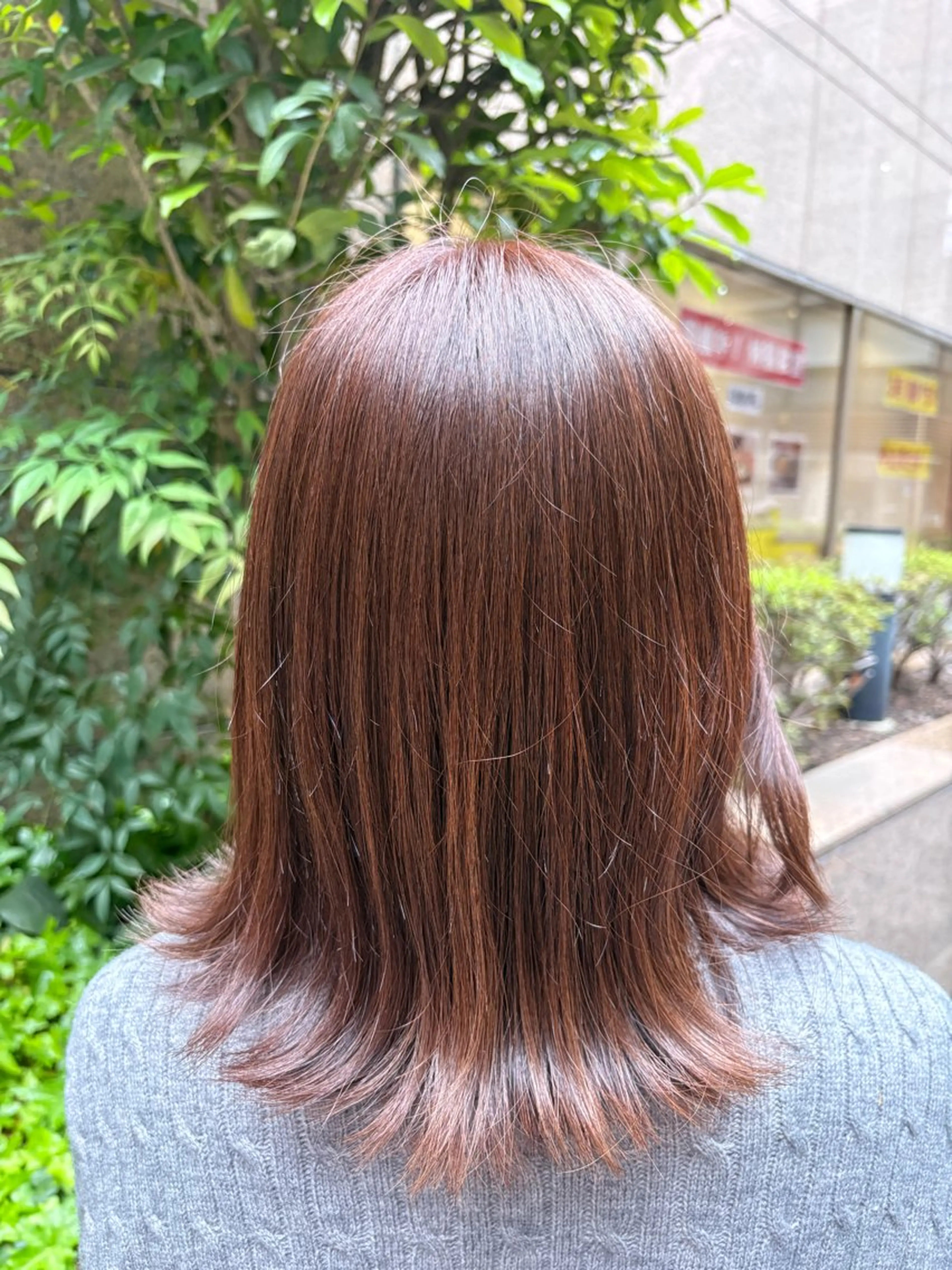 ワンカラーモデルの写真