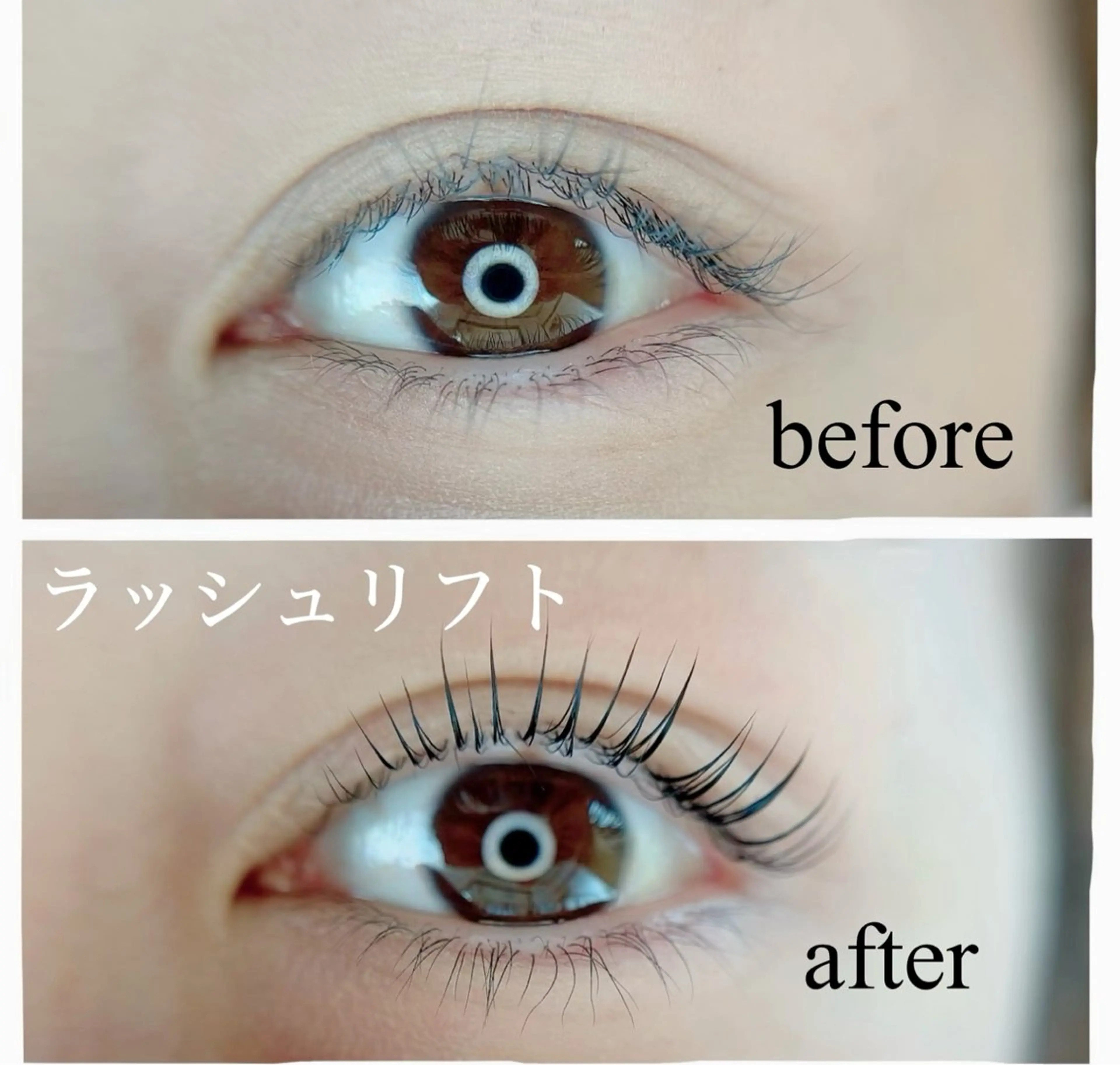 ラッシュリフトの写真