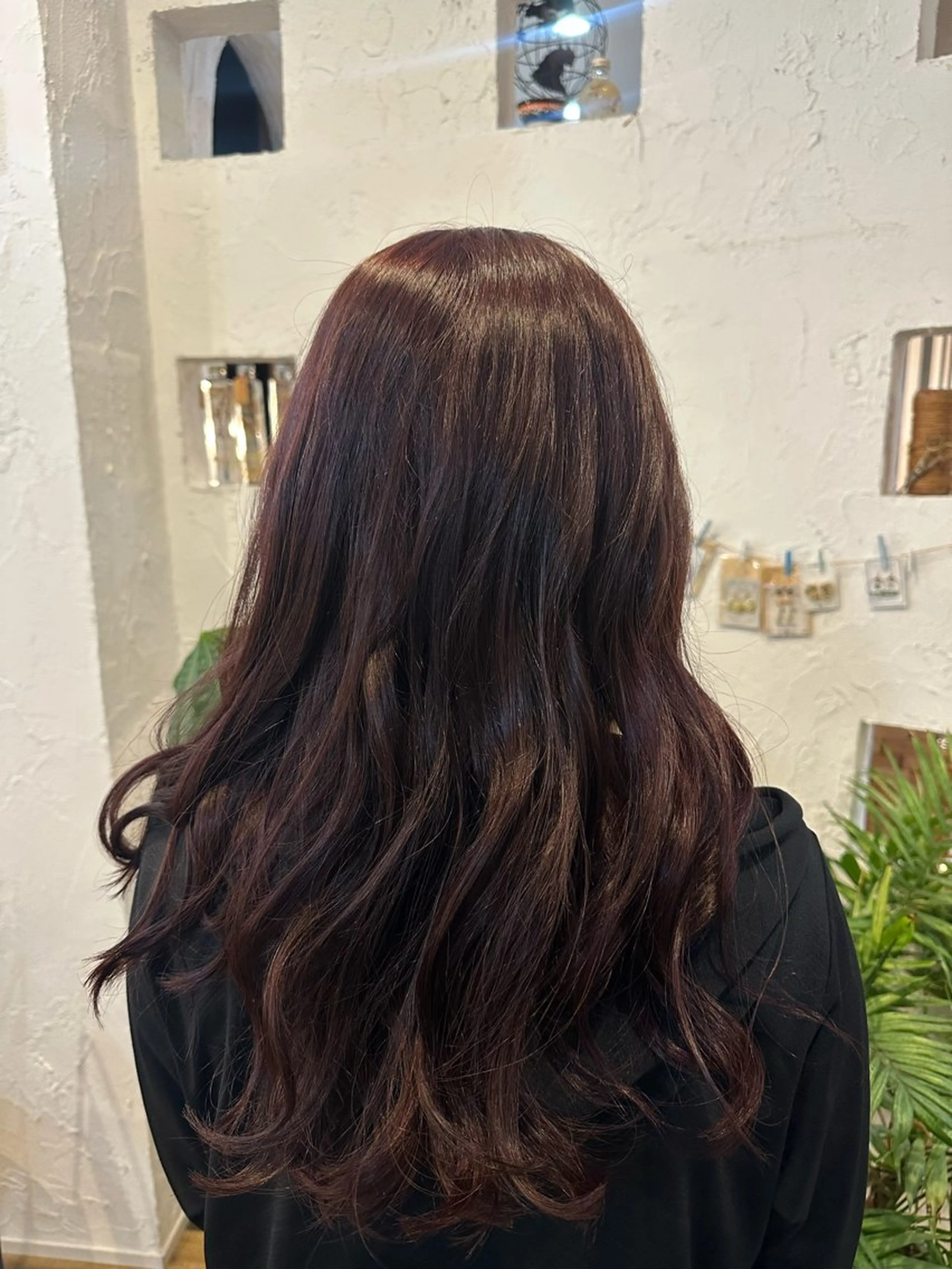 ワンカラー🎨＋カット💇‍♀️の写真