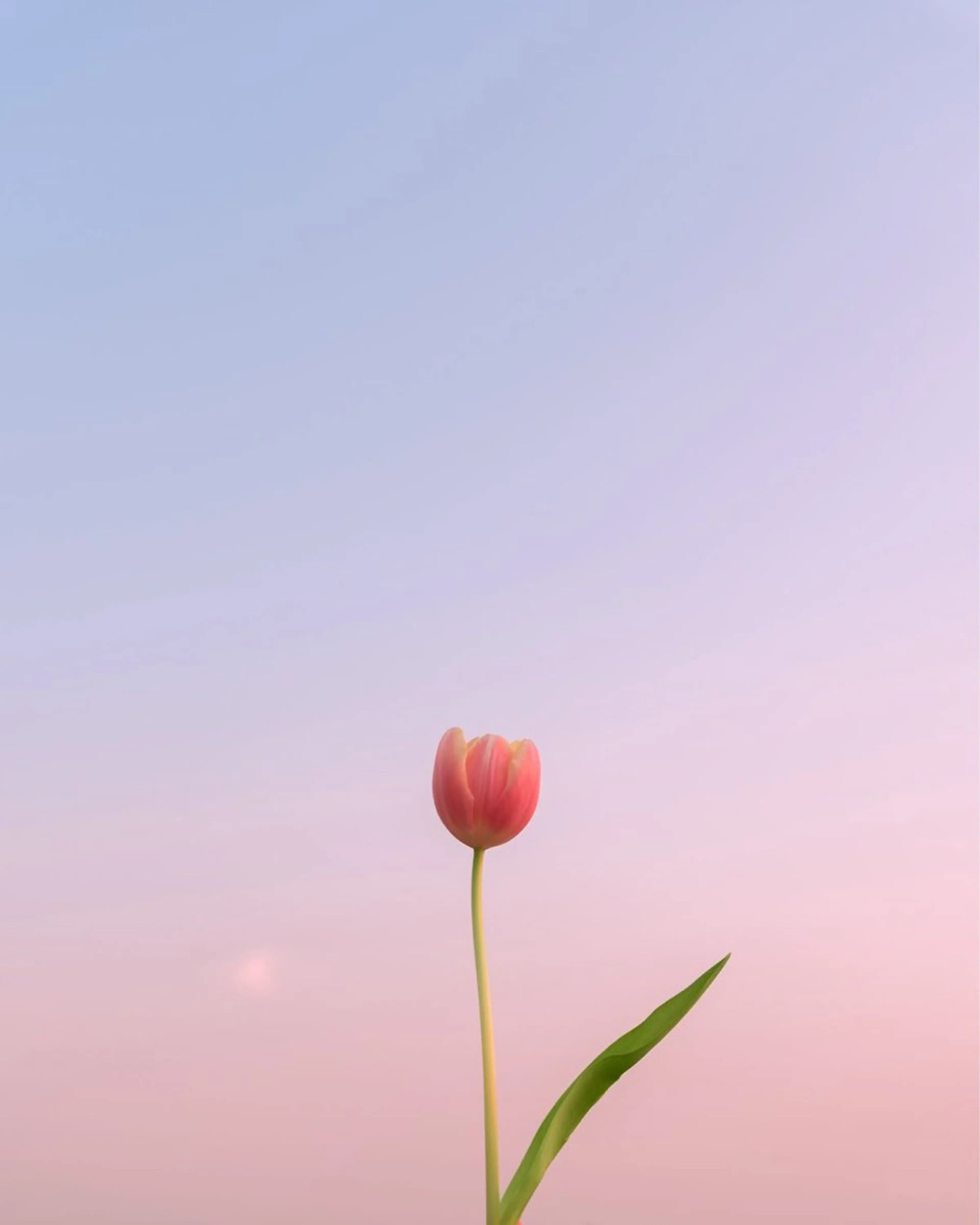 🫧serein 晴空🫧のマツエク・マツパデザイン