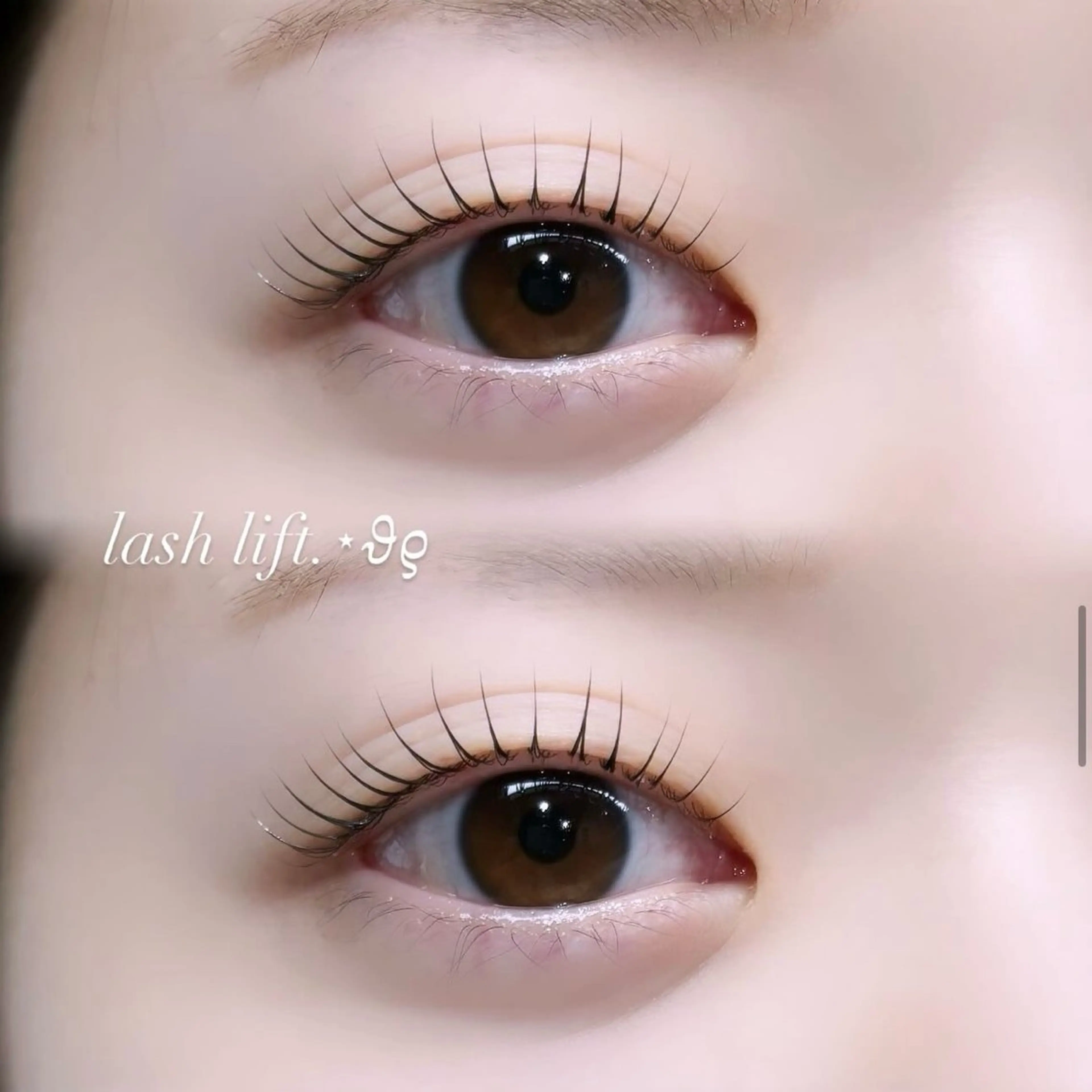マツエク・マツパ 一重×まつ毛パーマ GALLARIA Eye　design所属・佐々木 奏のマツエク・マツパデザイン