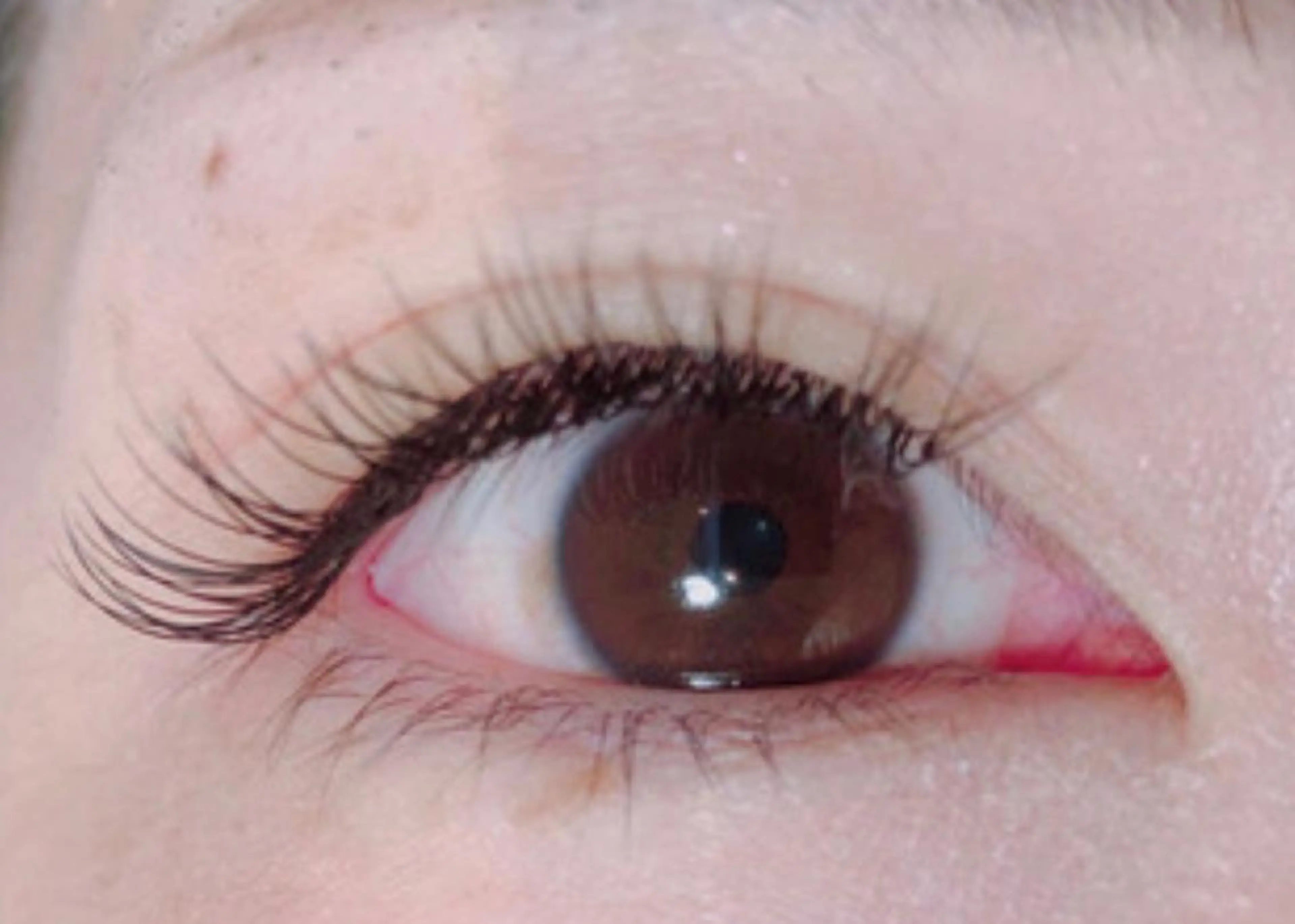 マツエク・マツパ まつ毛、毛穴ケア 専門サロンPlumeのマツエク・マツパデザイン