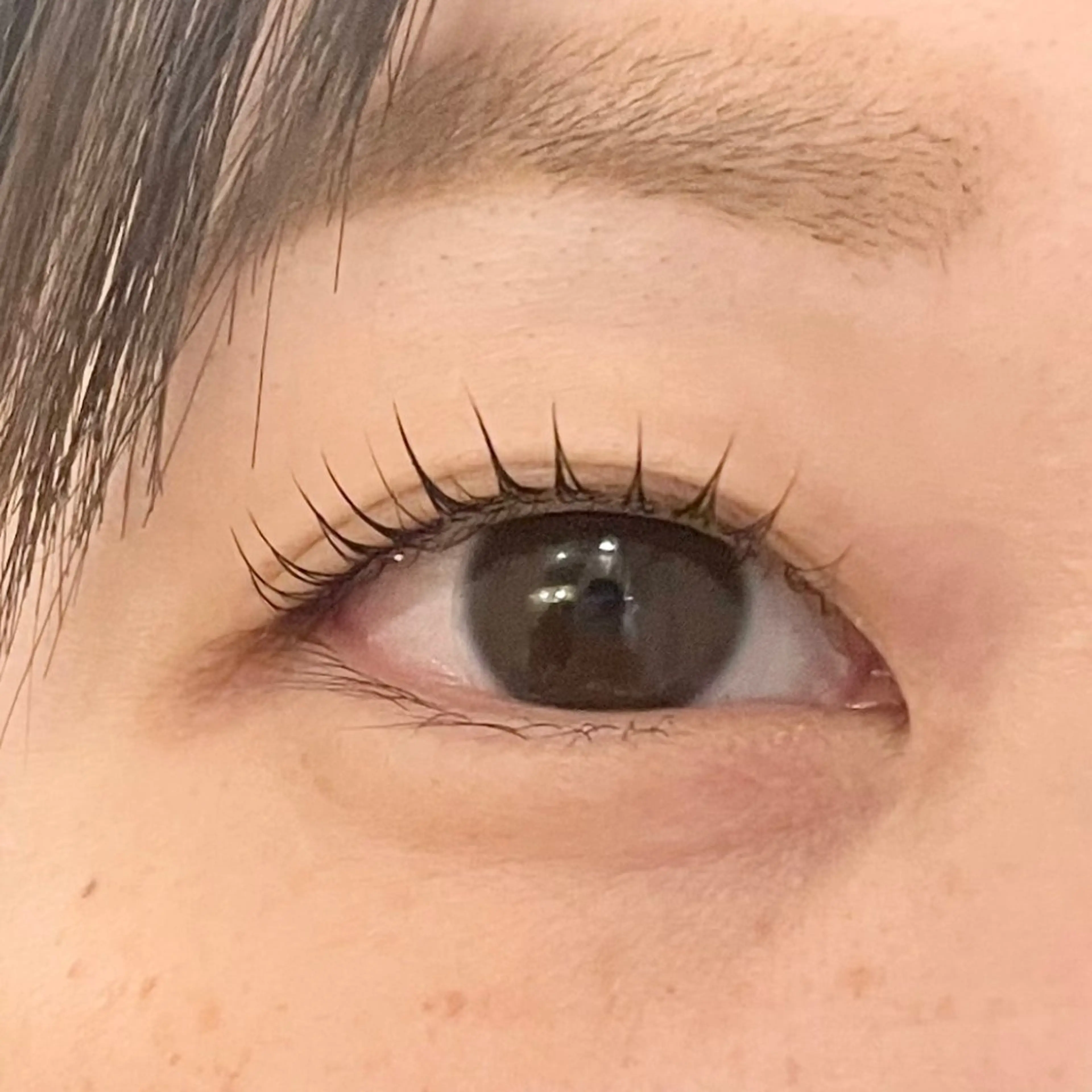 マツエク・マツパ マツパ 毛染め工房【まつエク】所属・Risa/平野 /八尾/喜連瓜破のマツエク・マツパデザイン