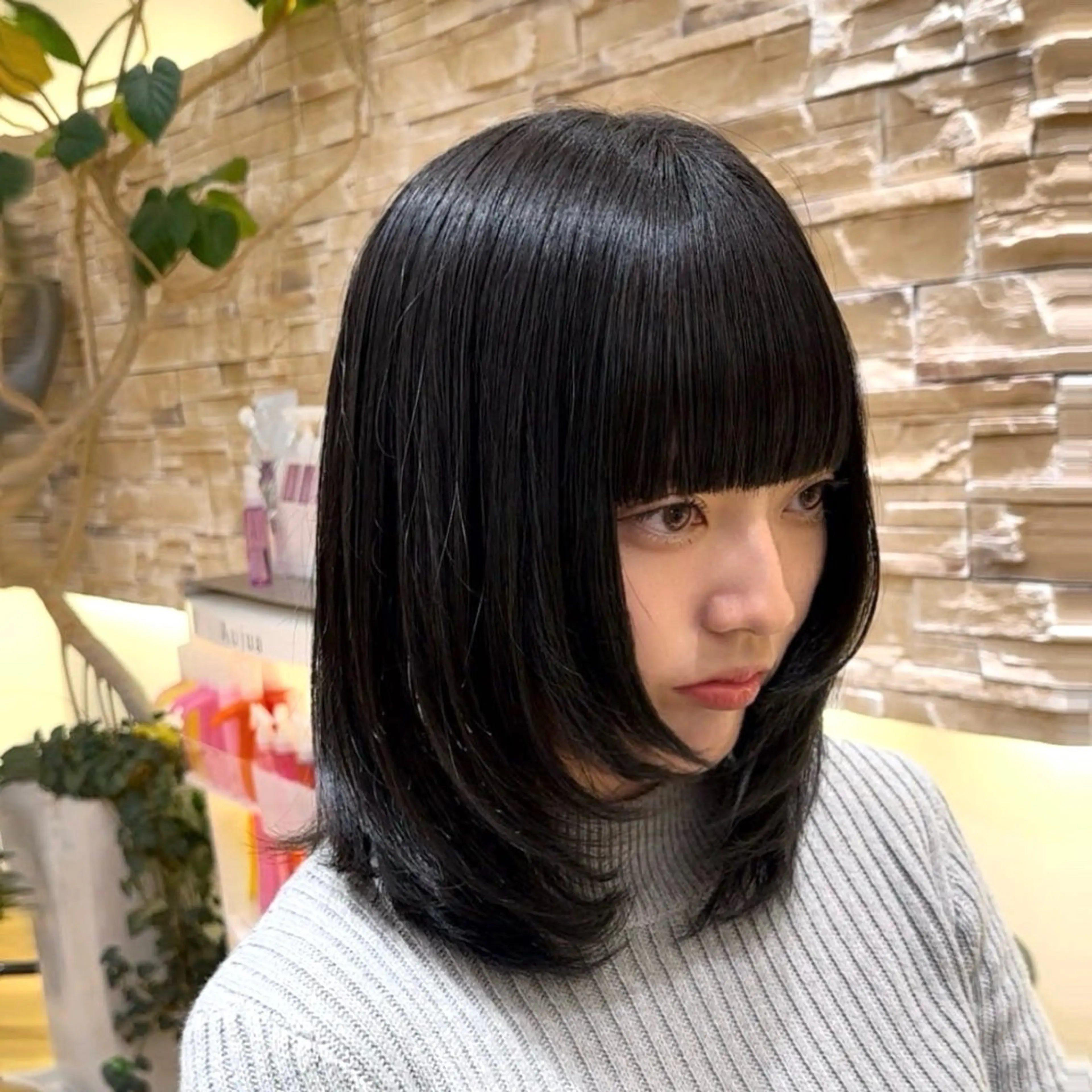 ミディアム カラー 卒業式のヘアスタイル ウルフカット 🫧RYOグレージュ /透け感カラー🫧のヘアスタイル