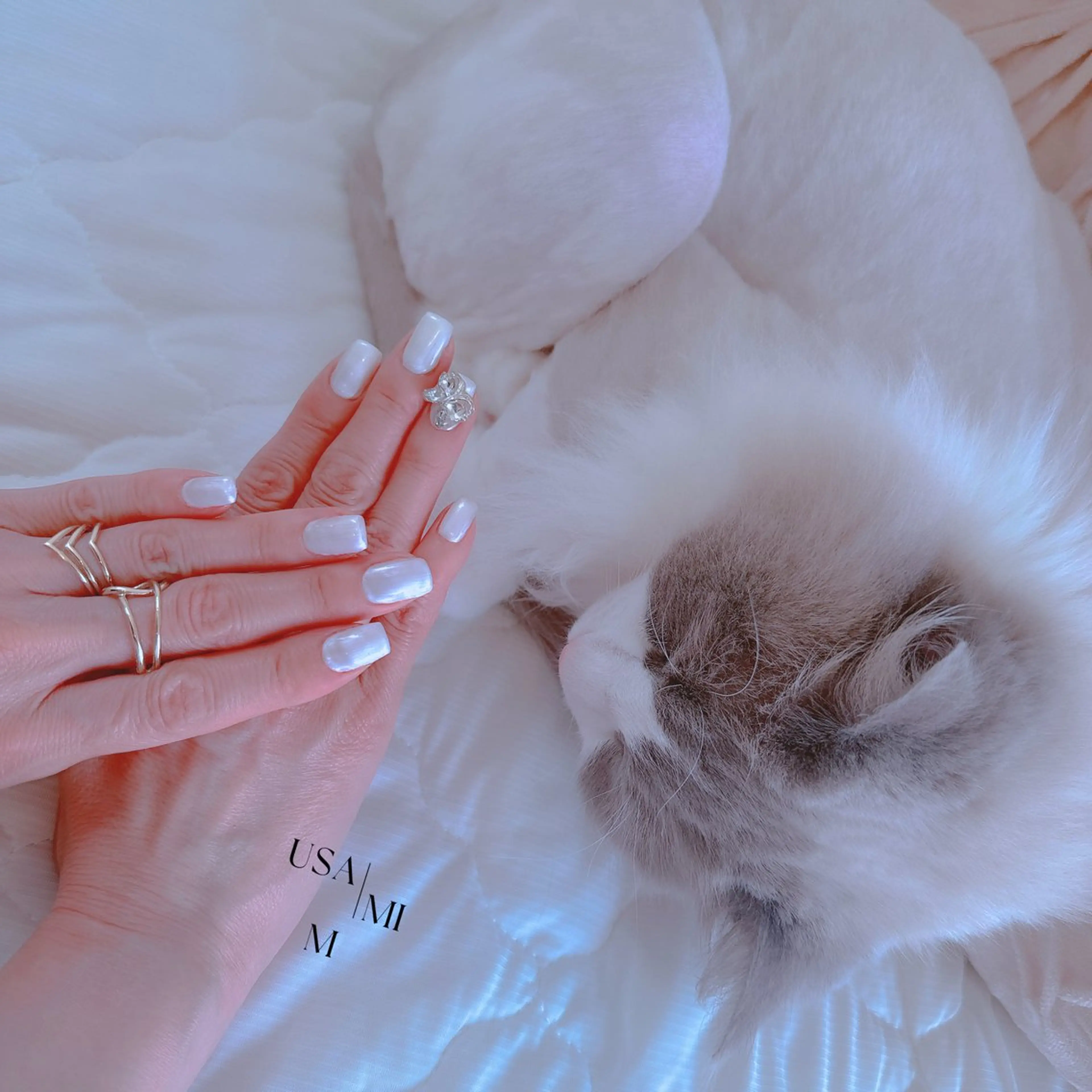 ネイル ハンドネイル 💕🐰うさみみ🐰 💕猫と触れ合い✨のネイルデザイン