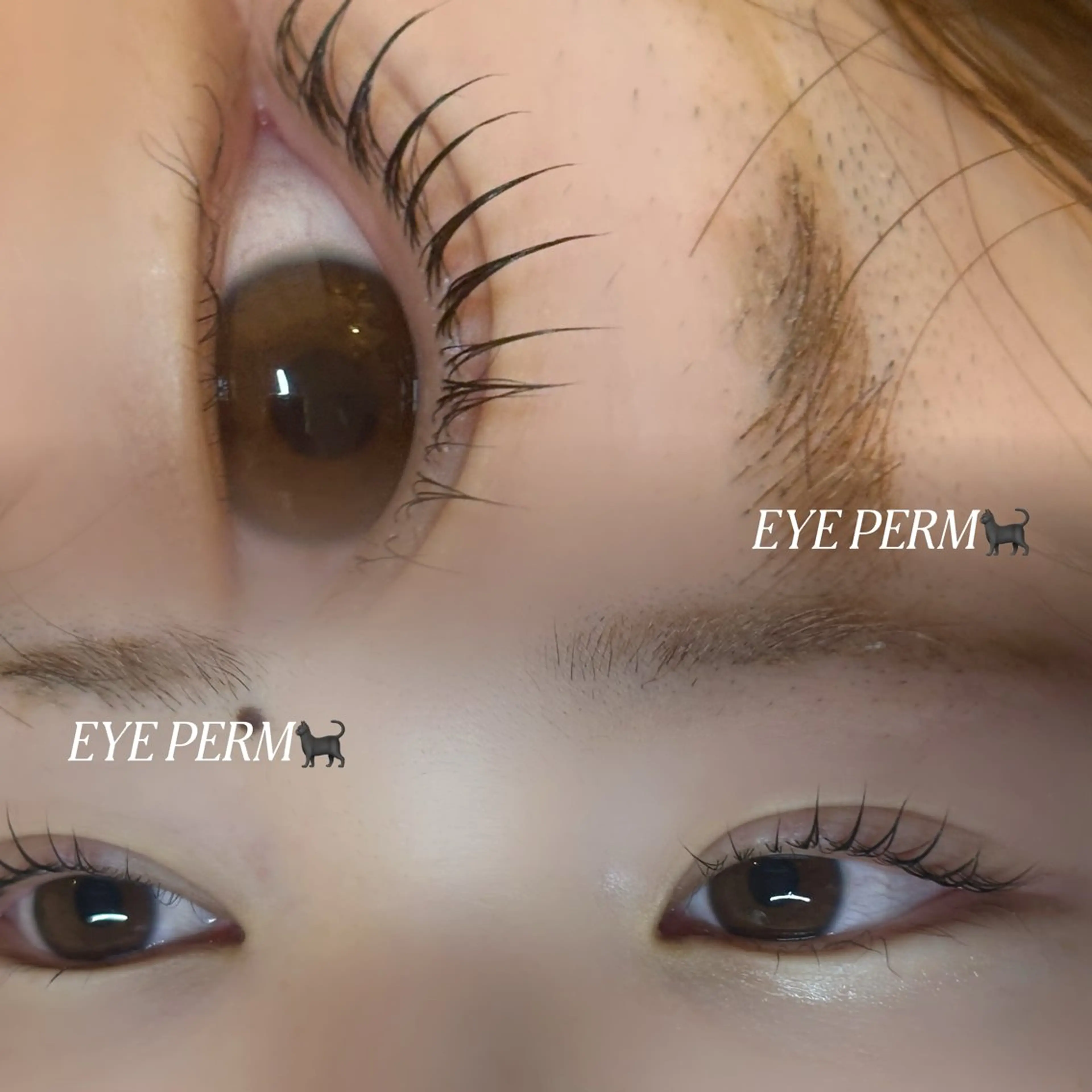 マツエク・マツパ 🐈‍⬛ HIORIの眉毛・アイブロウイメージ