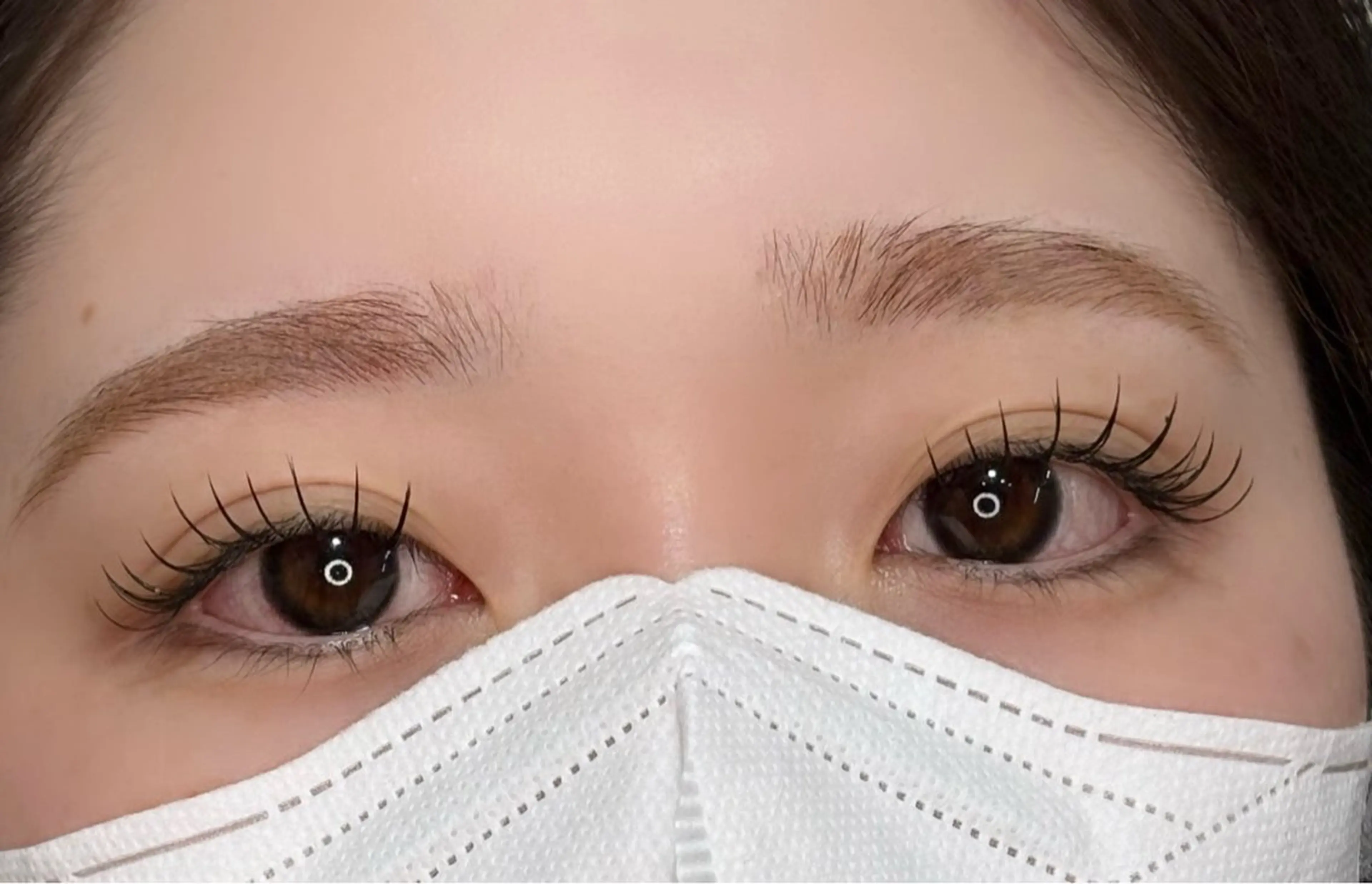 ご新規 フラットラッシュ100本の写真