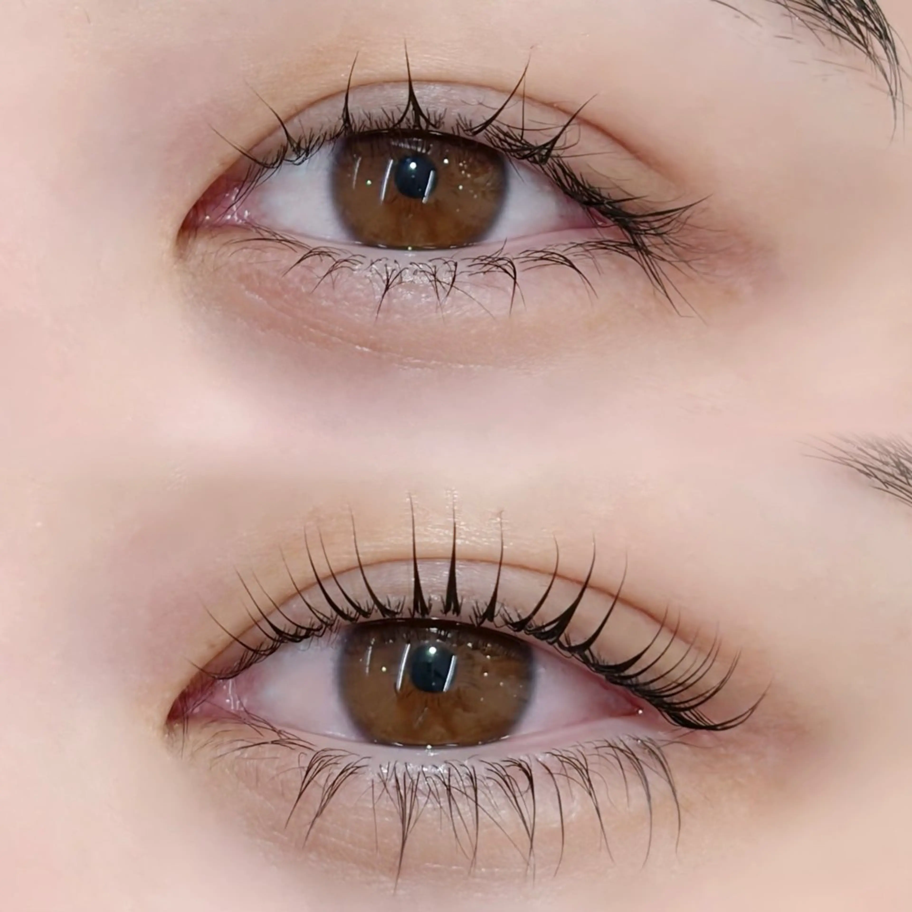 マツエク・マツパ fumina ‎🐇🤍のマツエク・マツパデザイン