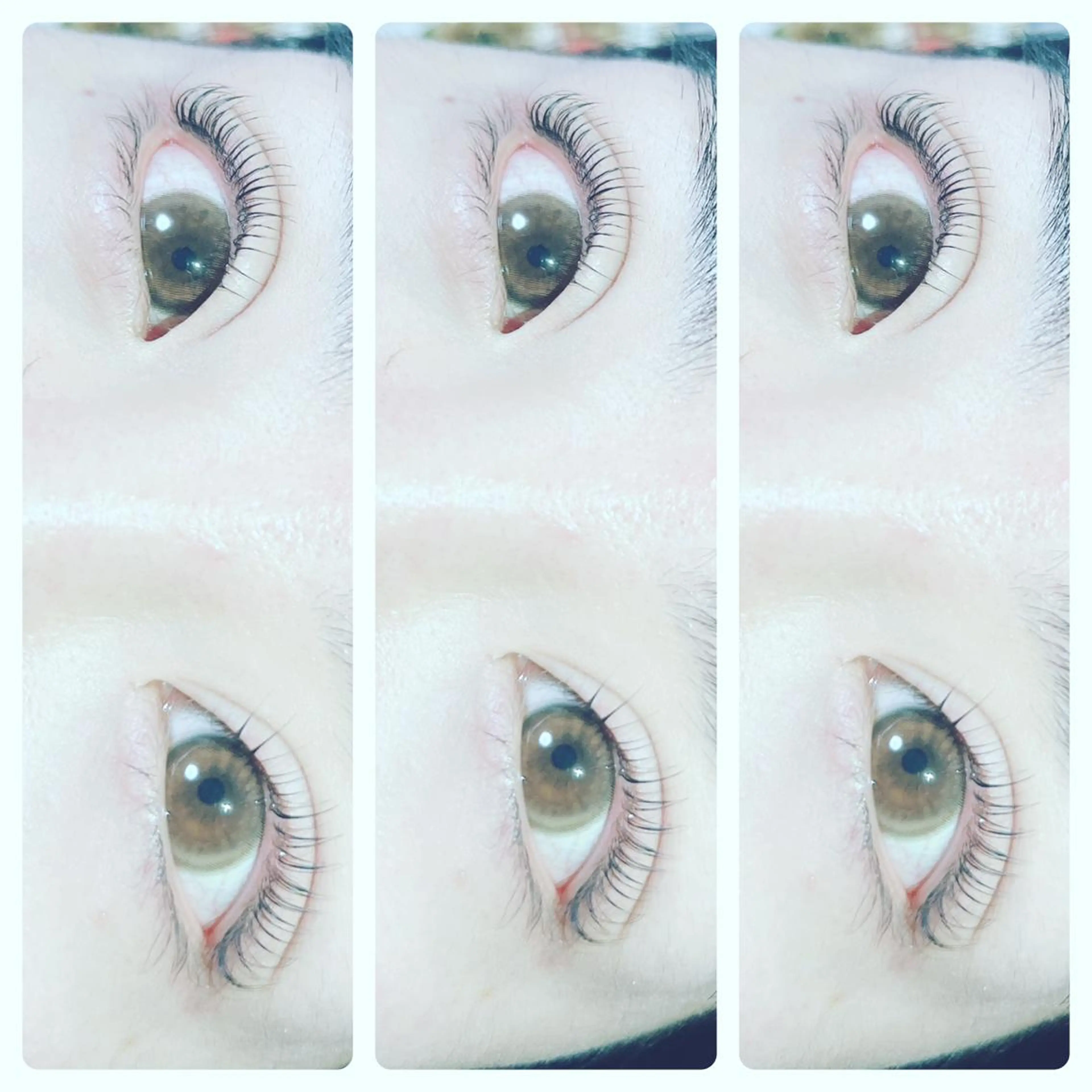 マツエク・マツパ マツパ TReiS所属・TReiS eyelashのマツエク・マツパデザイン
