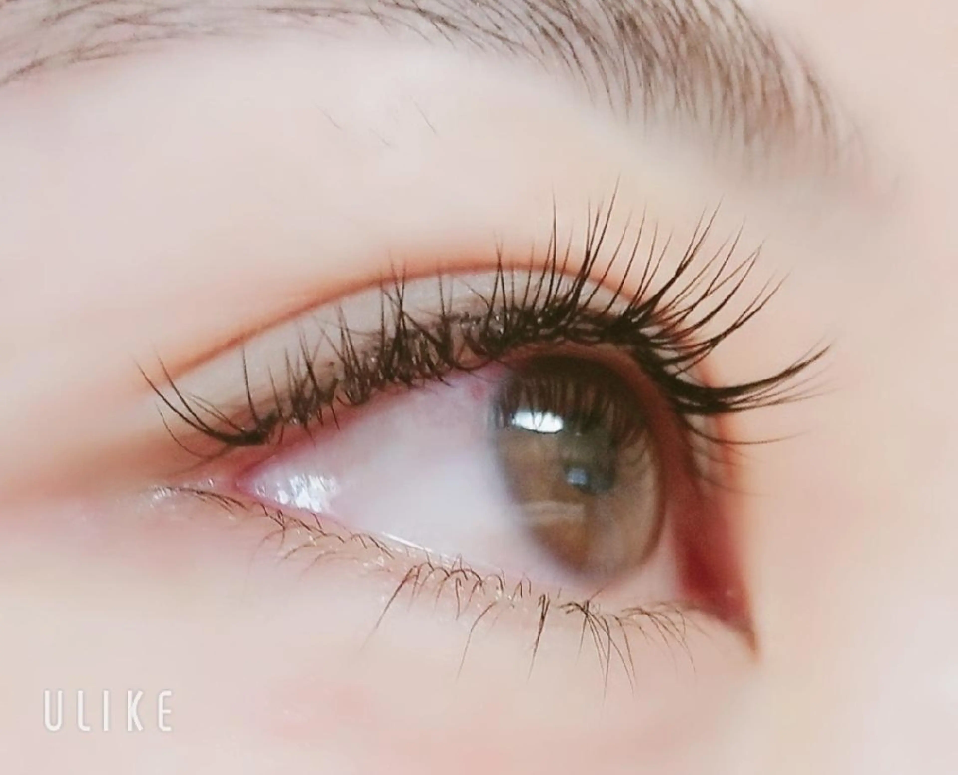 マツエク・マツパ Jカール EMMA plus．のマツエク・マツパデザイン