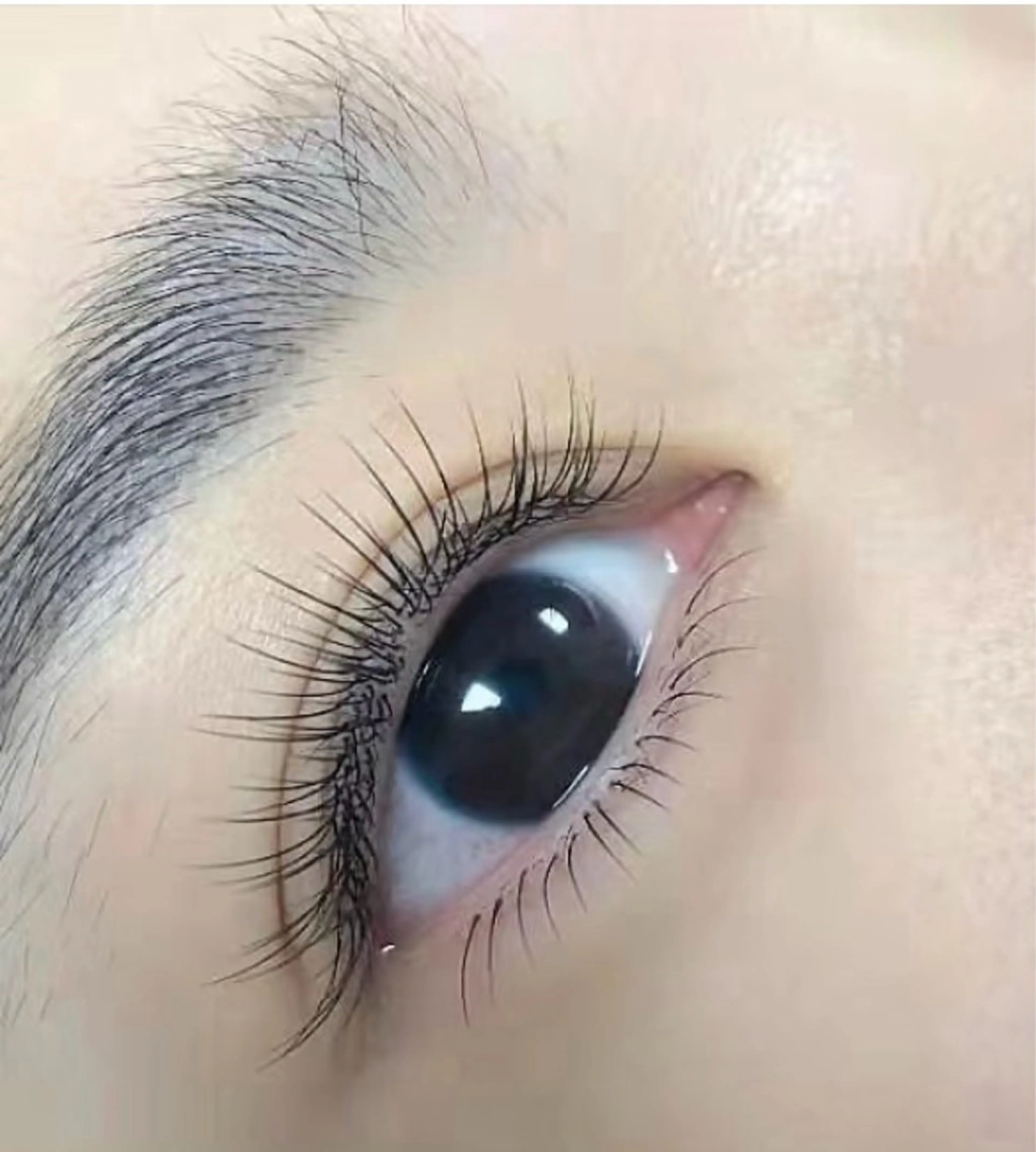 マツエク・マツパ マツエク salon de Reiのマツエク・マツパデザイン