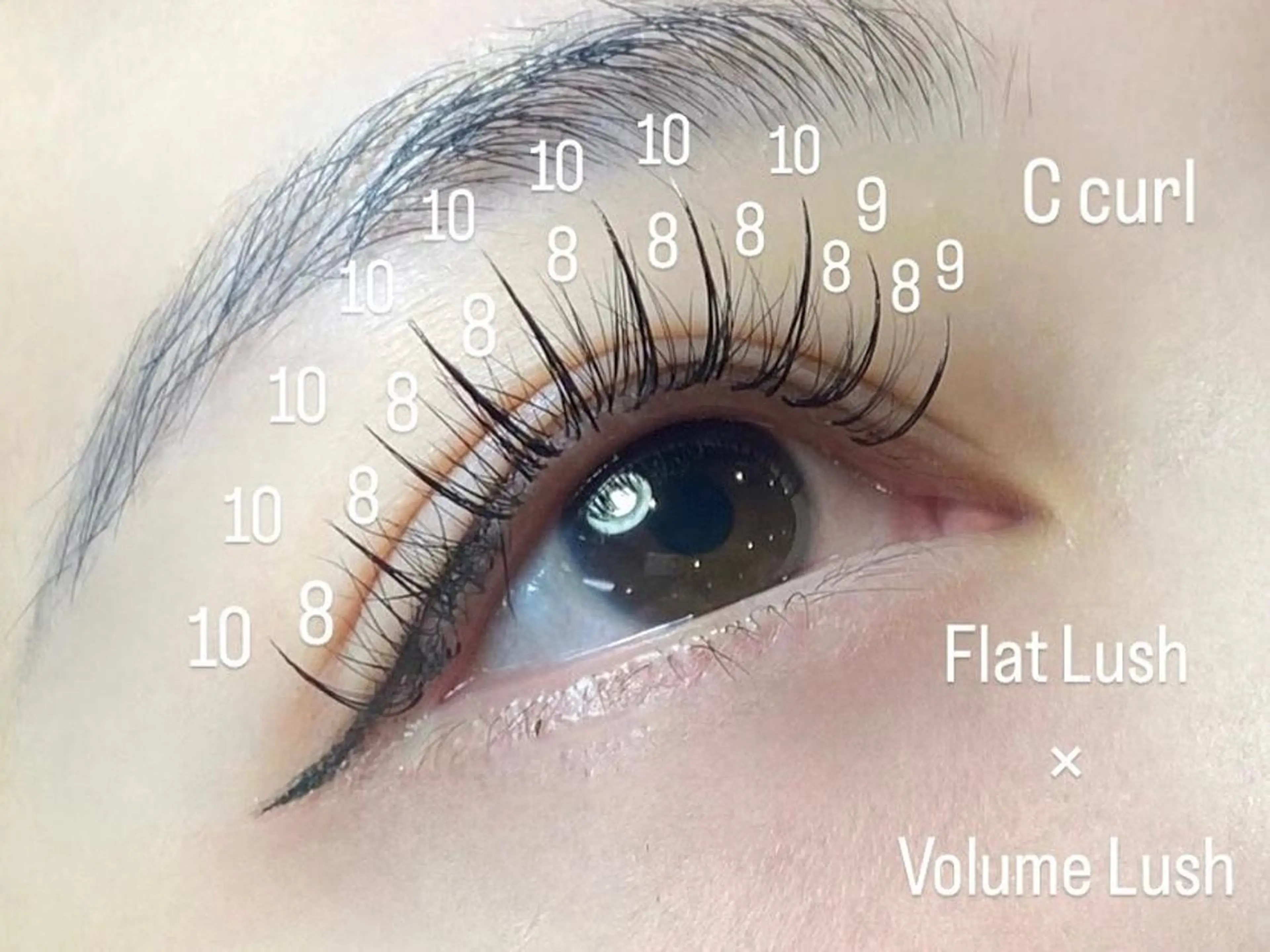 ネイル マツエク・マツパ ナチュラル ワンホンマツエク ワンホンネイル Cat's eye TOKYO 新宿店のネイルデザイン