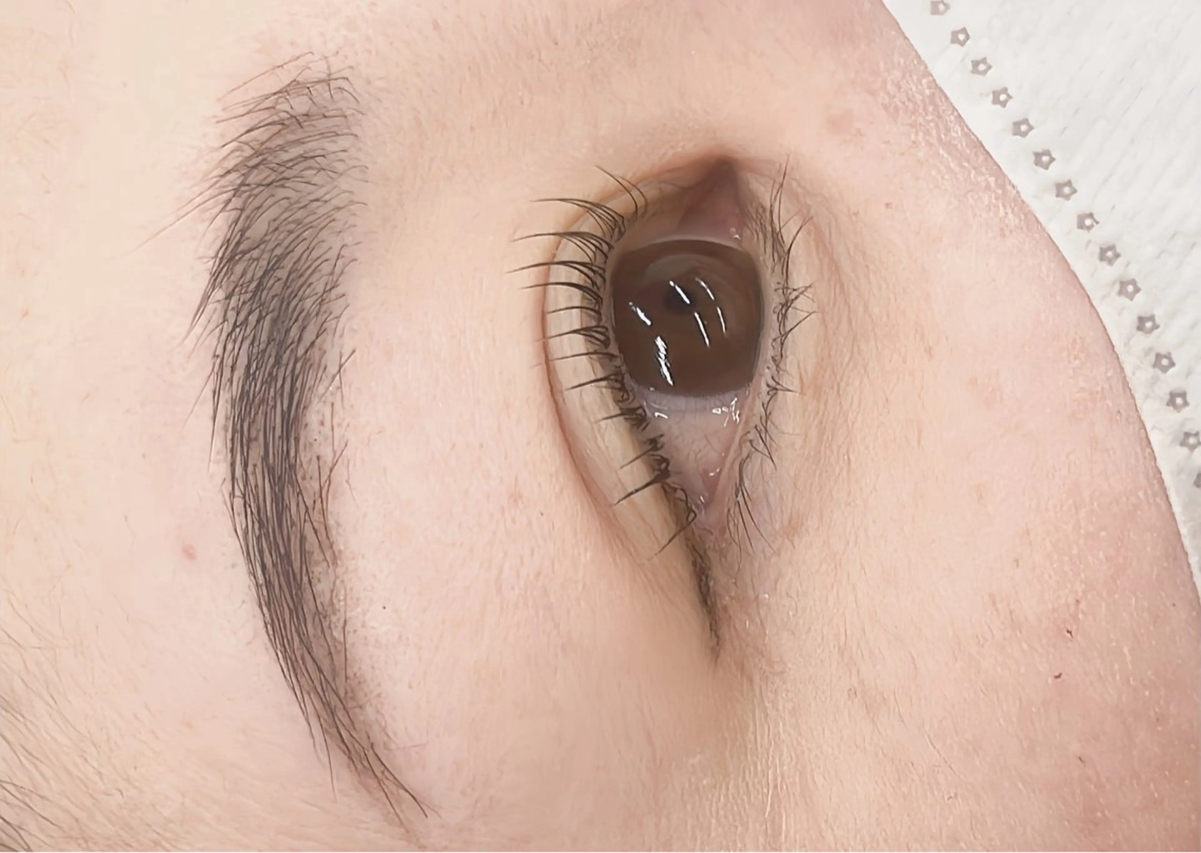 マツエク・マツパ LILY💖 yuinaの眉毛・アイブロウイメージ